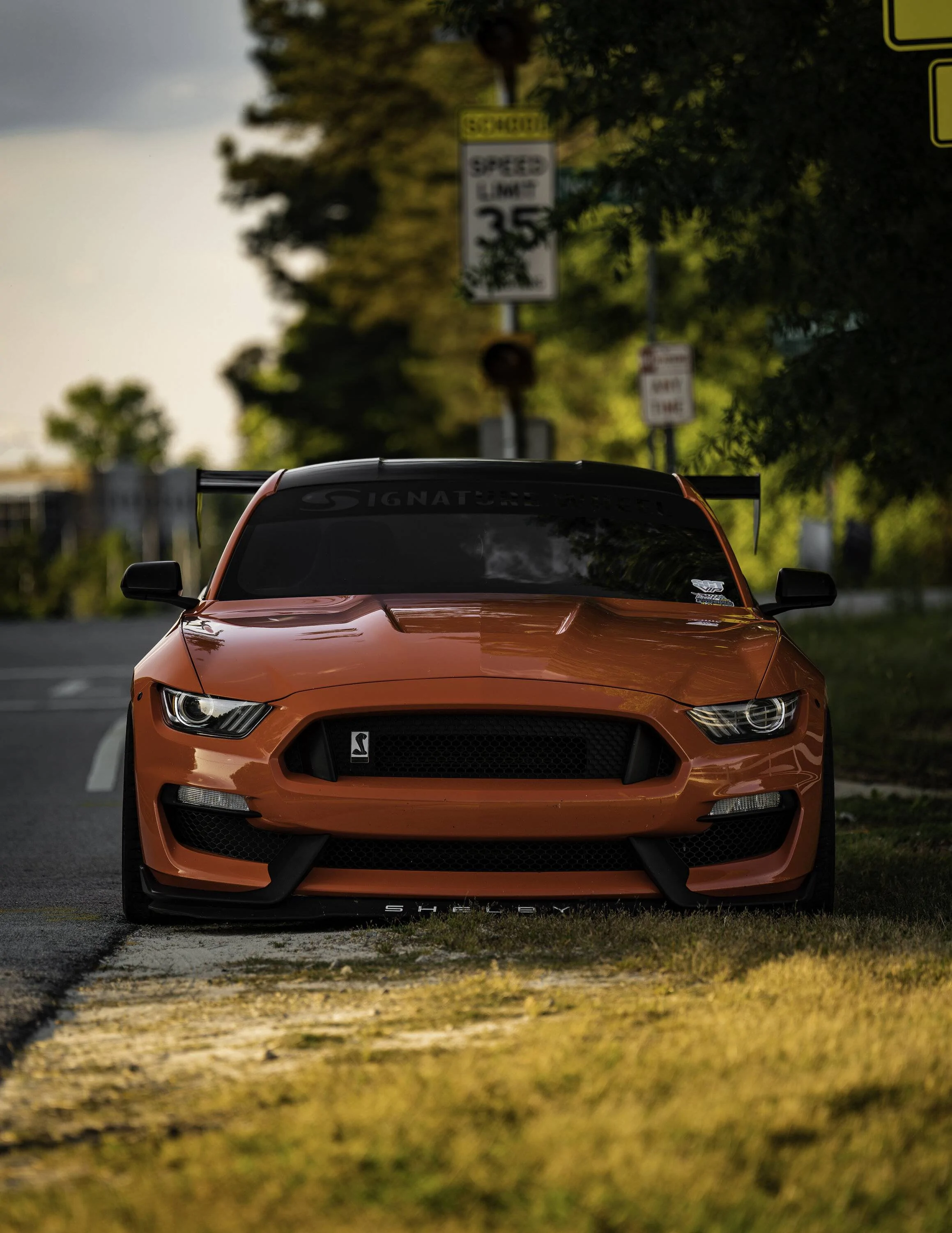 SV304S GT350 Matte Black James3.webp