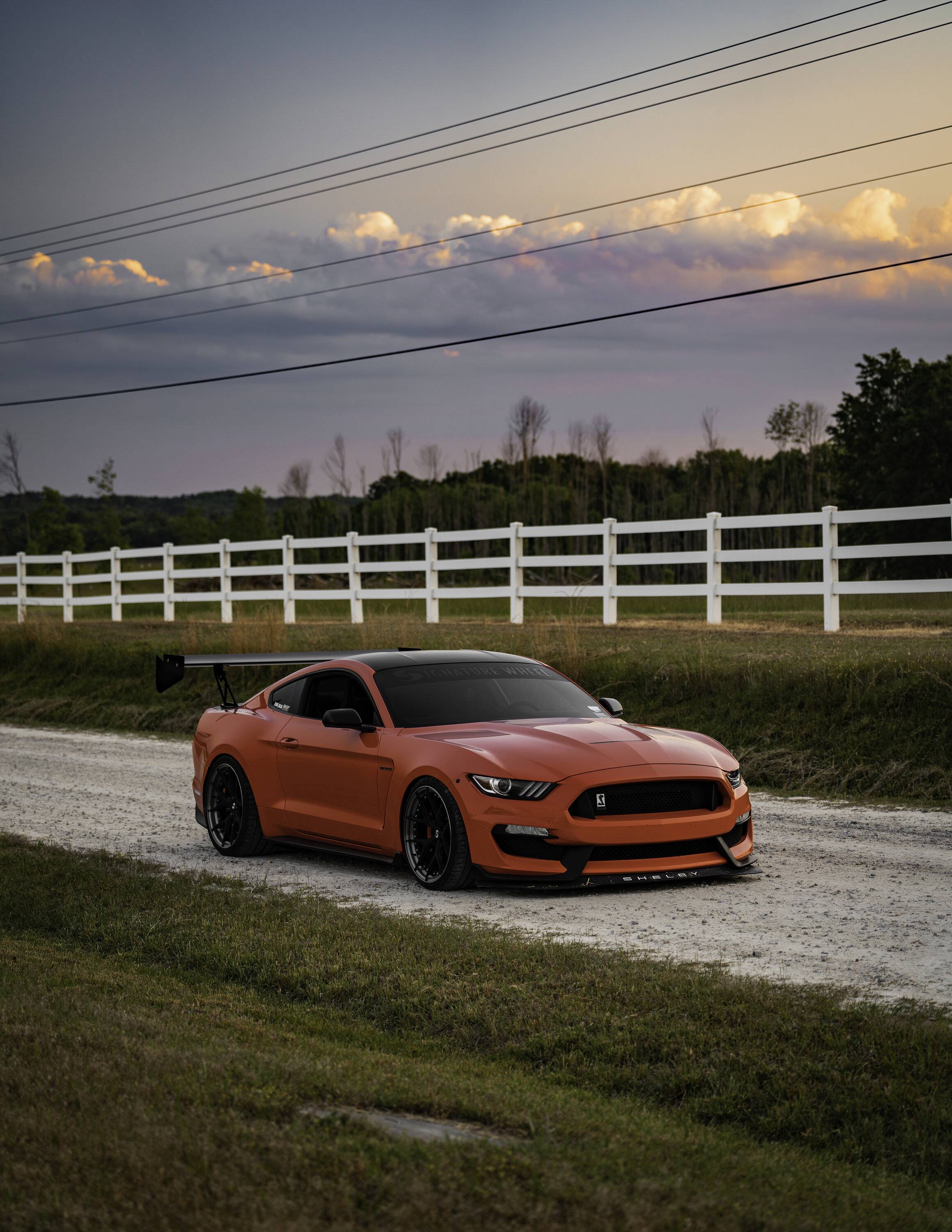 SV304S GT350 Matte Black James8.jpg