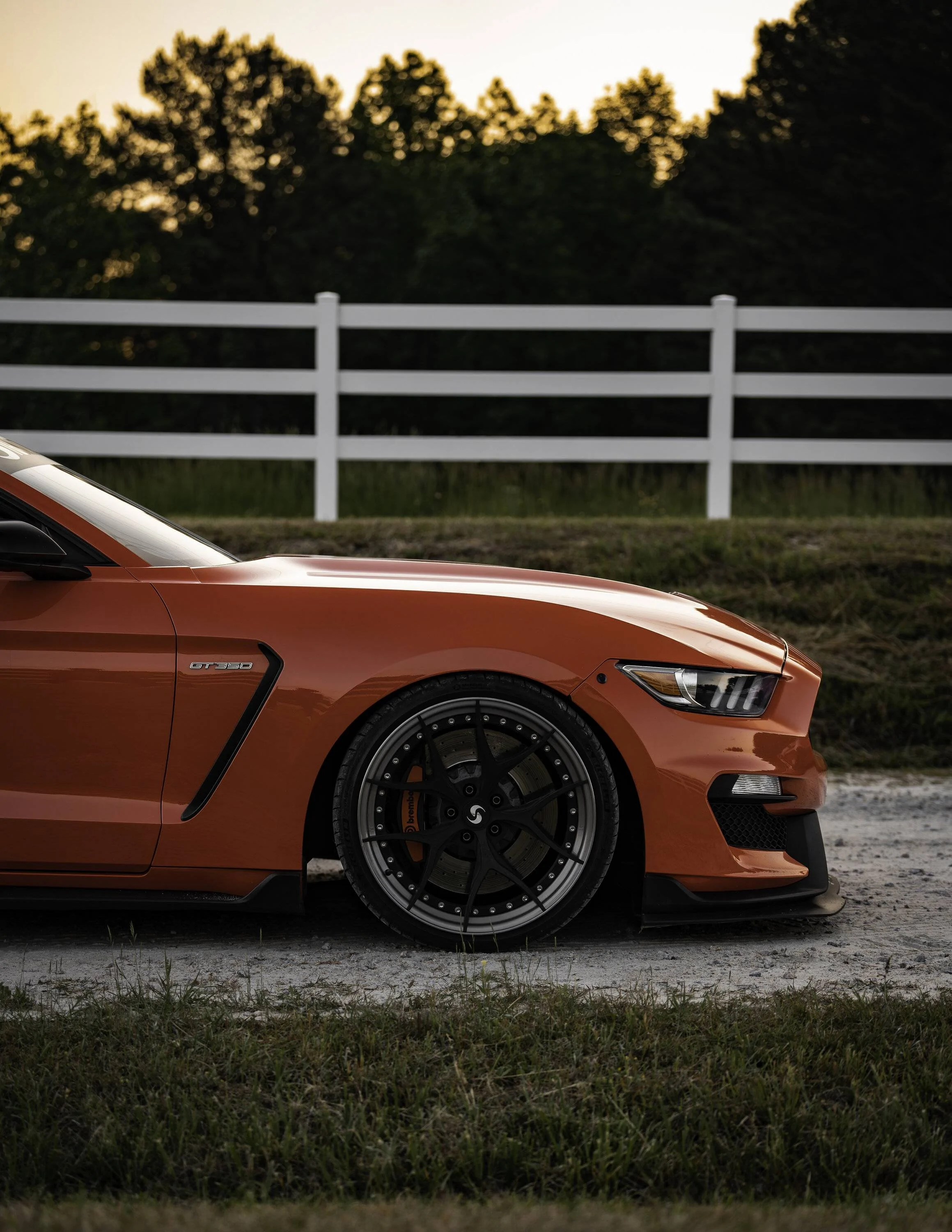 SV304S GT350 Matte Black James14.webp