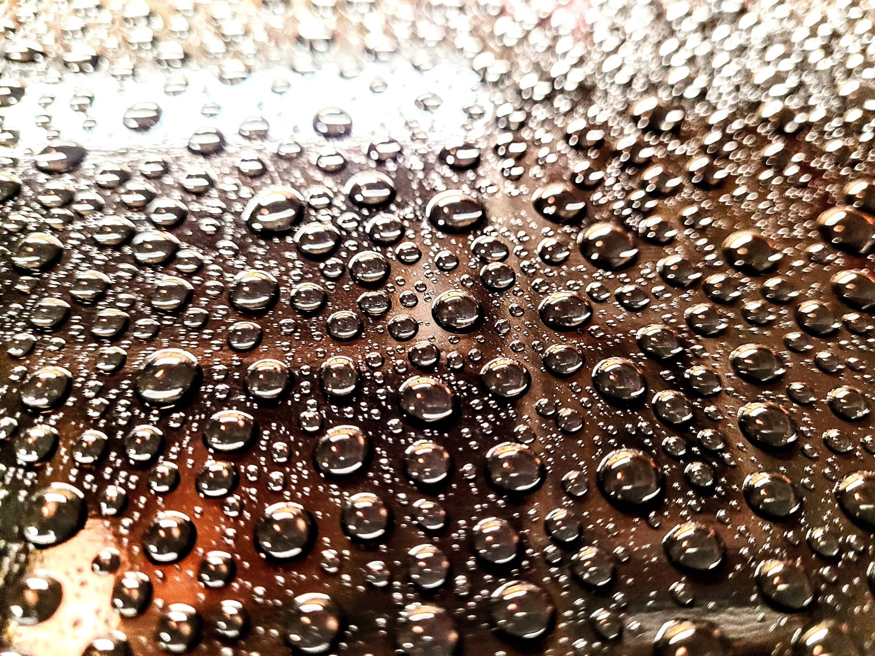 20230818_214619~2.jpg