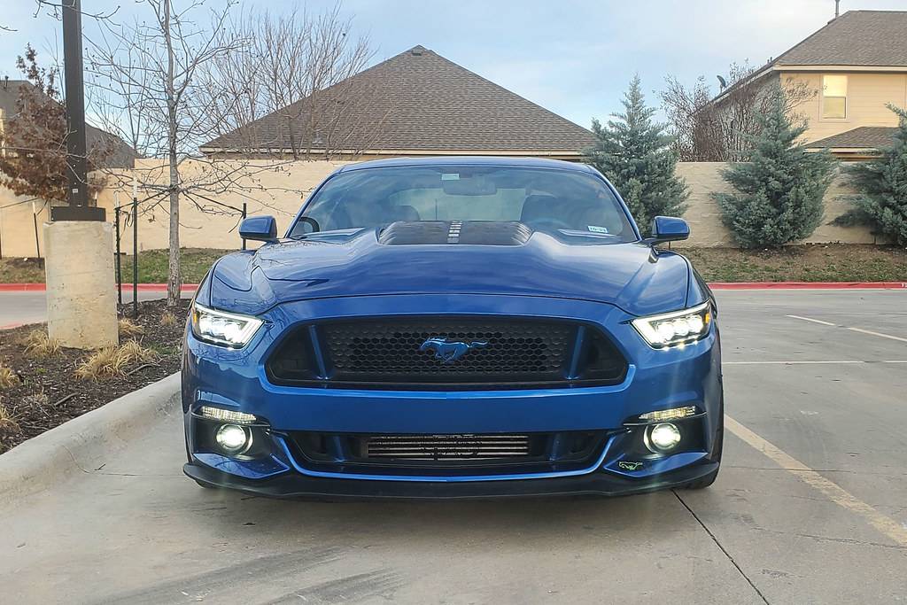52685413046_142acbdfa0_b.jpg