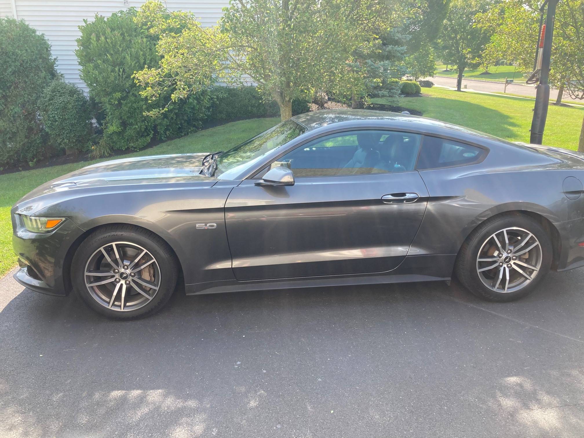 stang.jpg