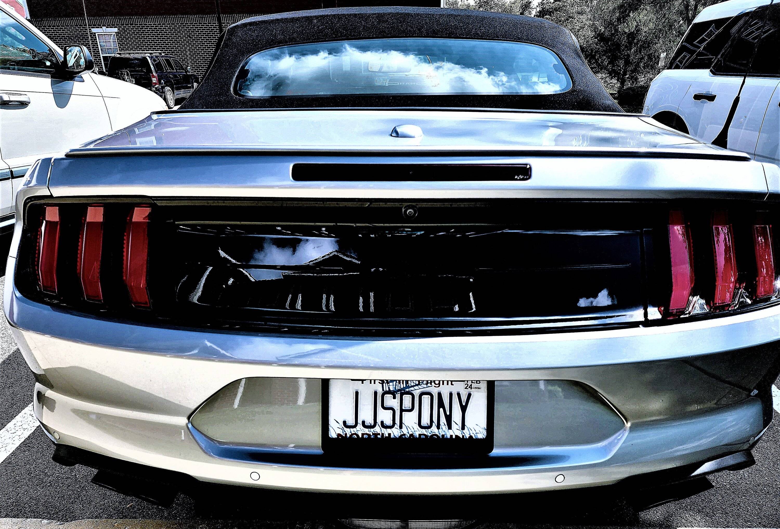 Mustang.jpg