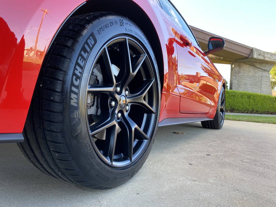 IMG-9723.jpg