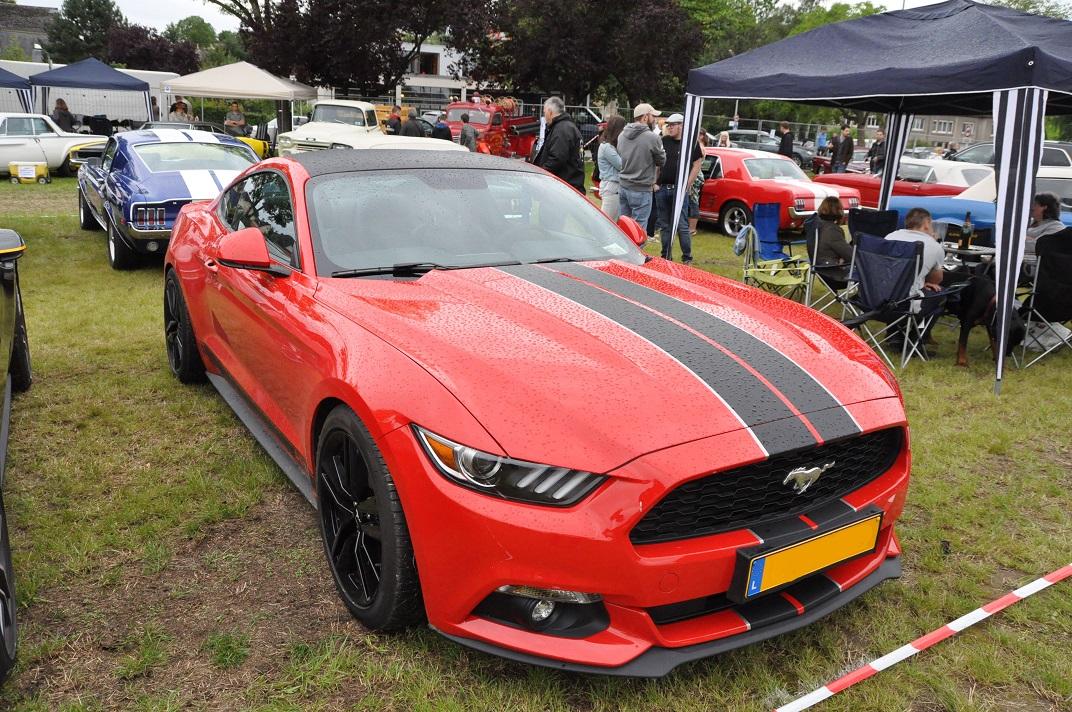 S550_Stadbredimus.jpg
