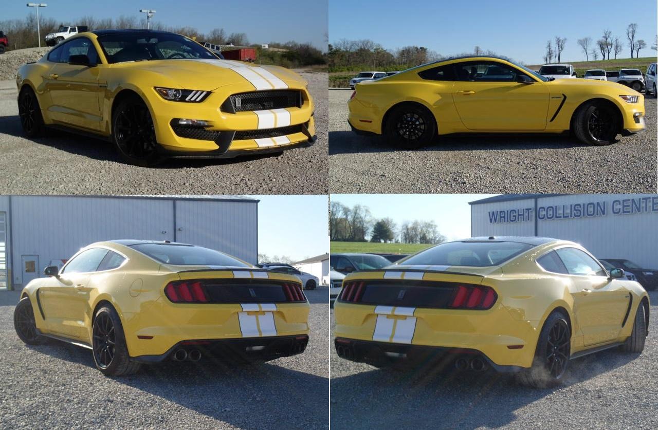 gt350-yellow-white.jpg