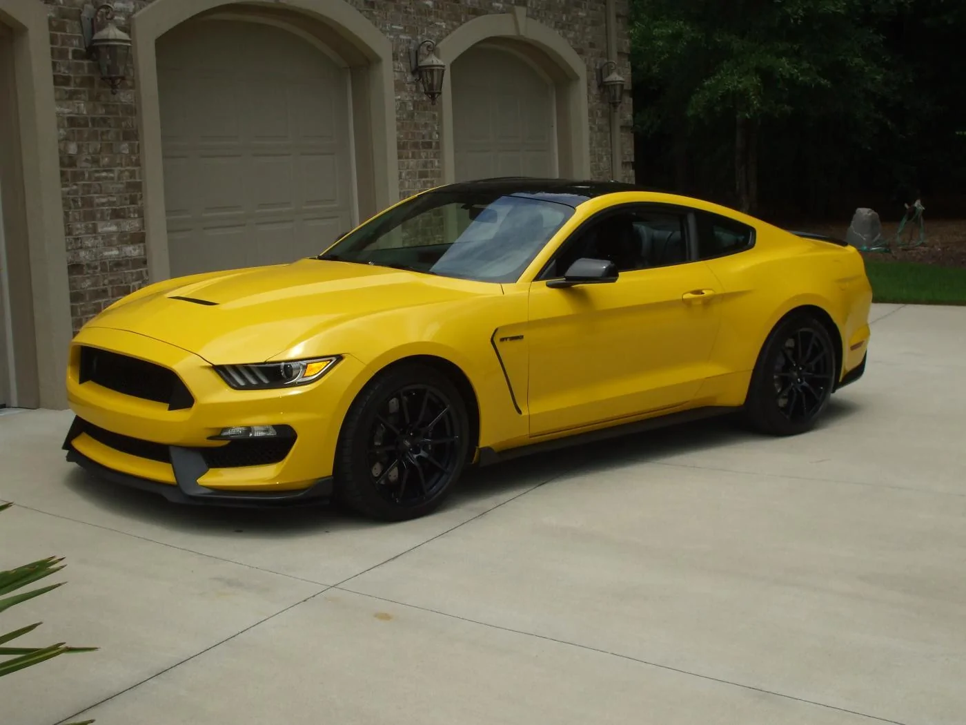 DSCF1575.webp