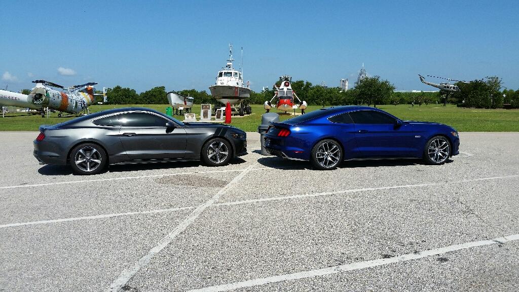 mustang18.jpg
