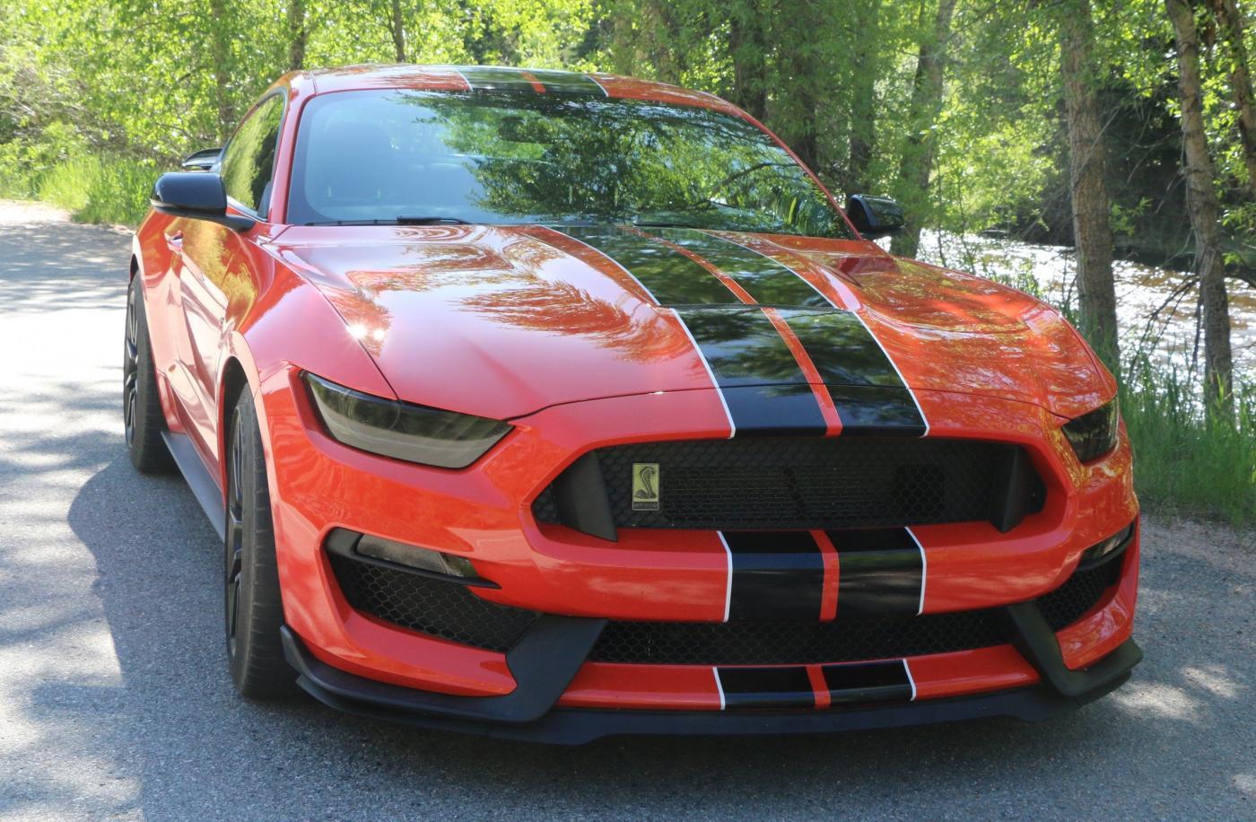 front-r.jpg