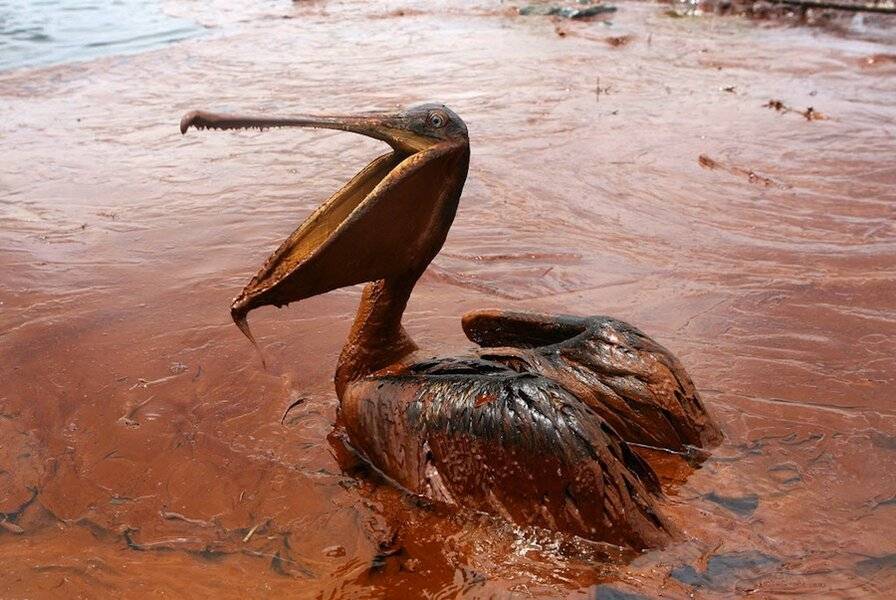 4-1-Deepwater.jpg