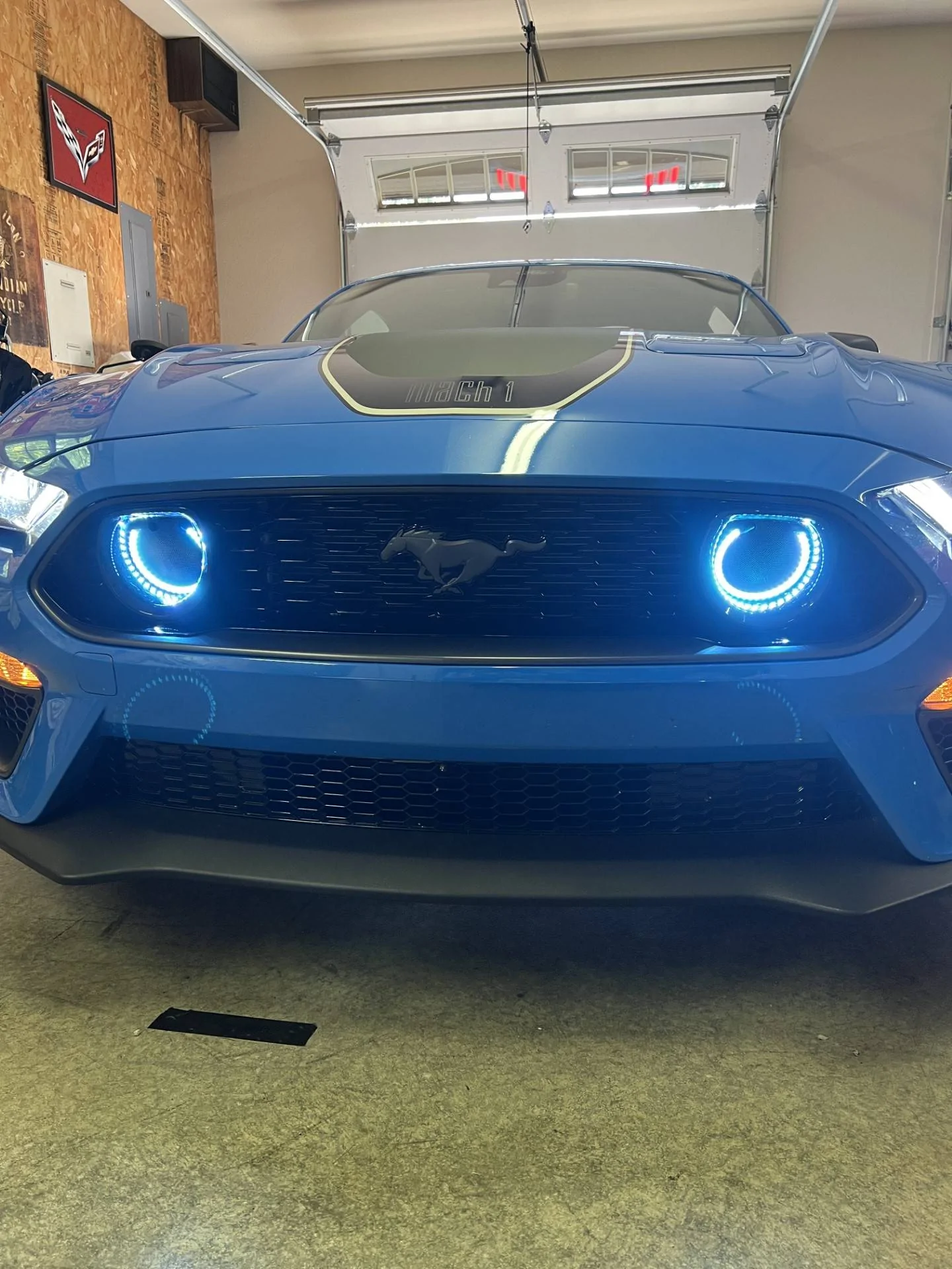 blue halo.webp