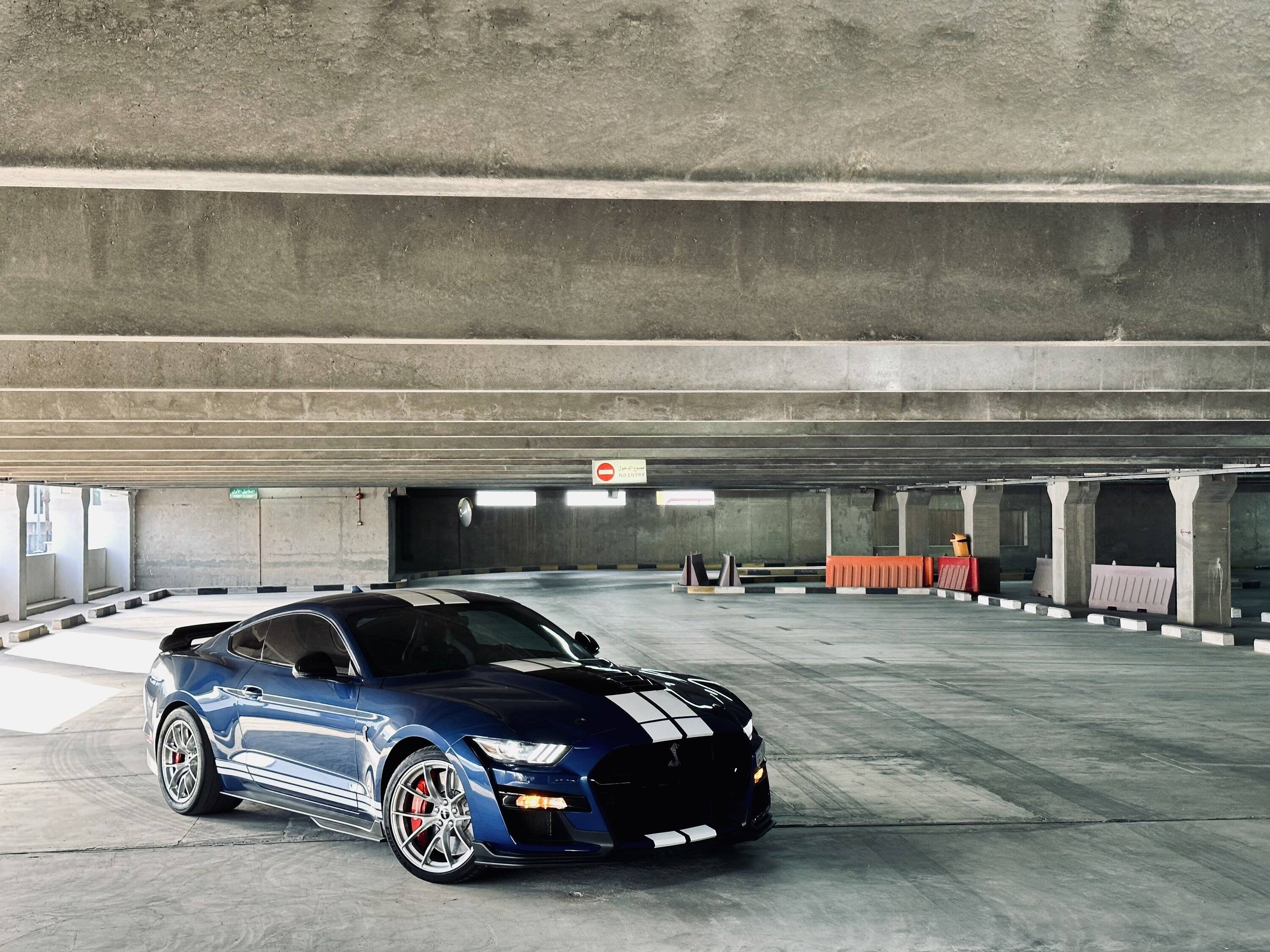 IMG_0287.jpeg