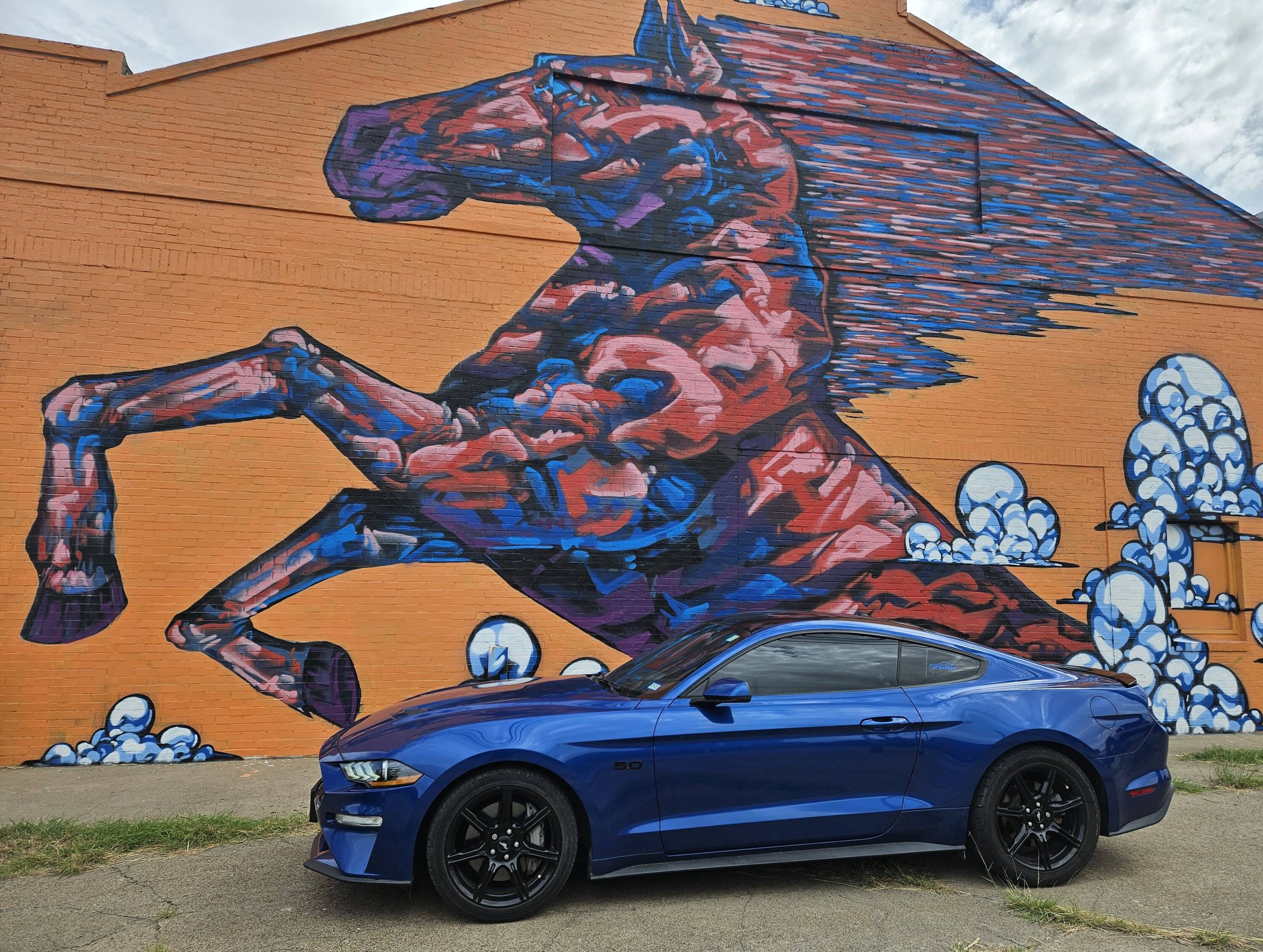 Mustang.jpg