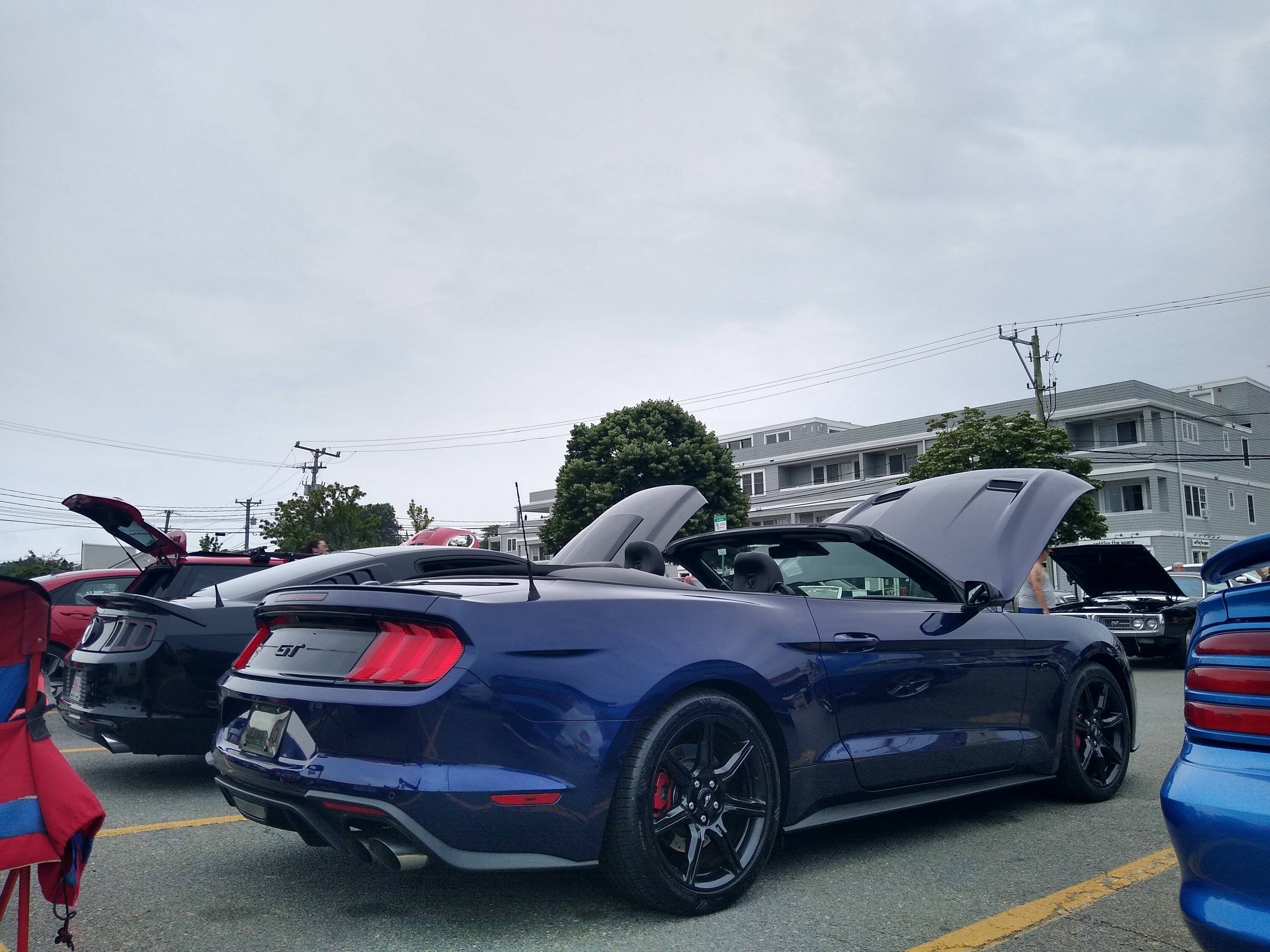 IMG_20230702_080802911_HDR.jpg