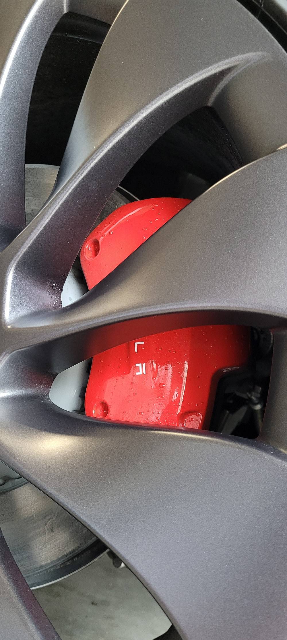 Rear Caliper.jpg
