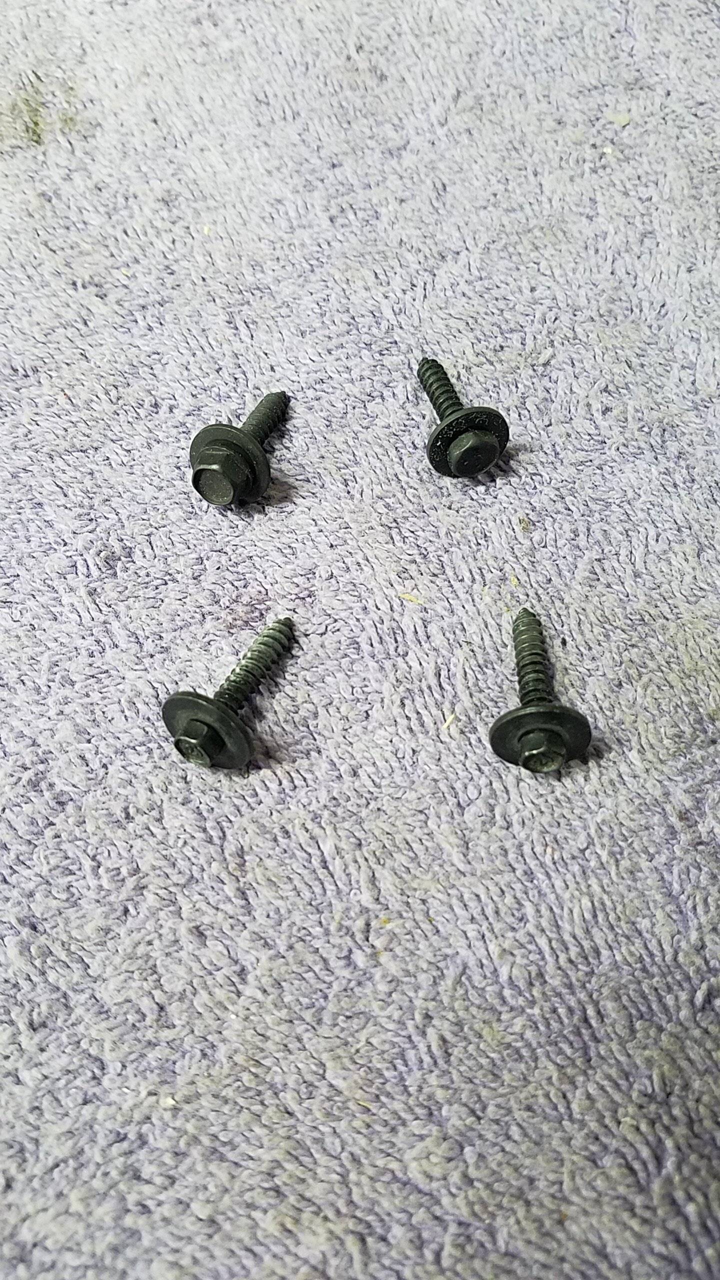 20230912_172432.jpg