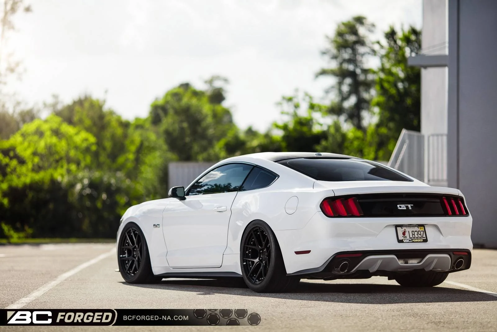 meaty-mustang-stn-blk-gls-blk-19-hcs02s-00002.jpeg
