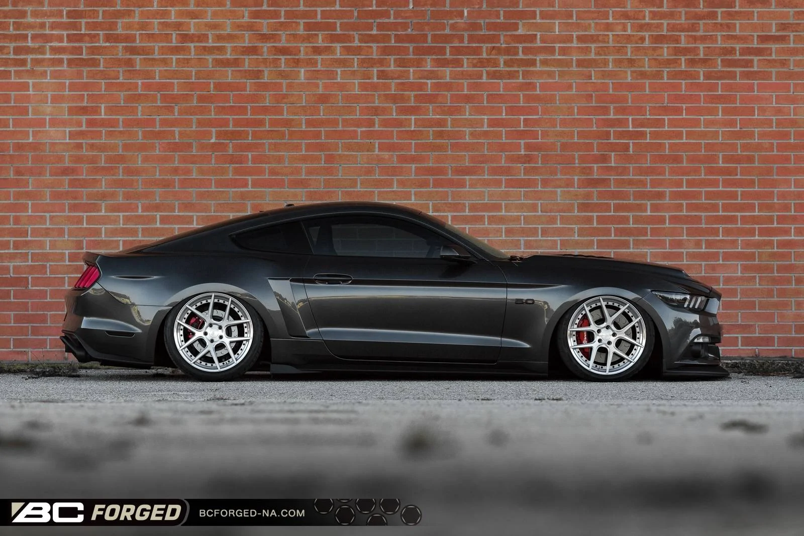 scotts-2015-mustang-gtpp-20-hcs02s-00012.jpeg
