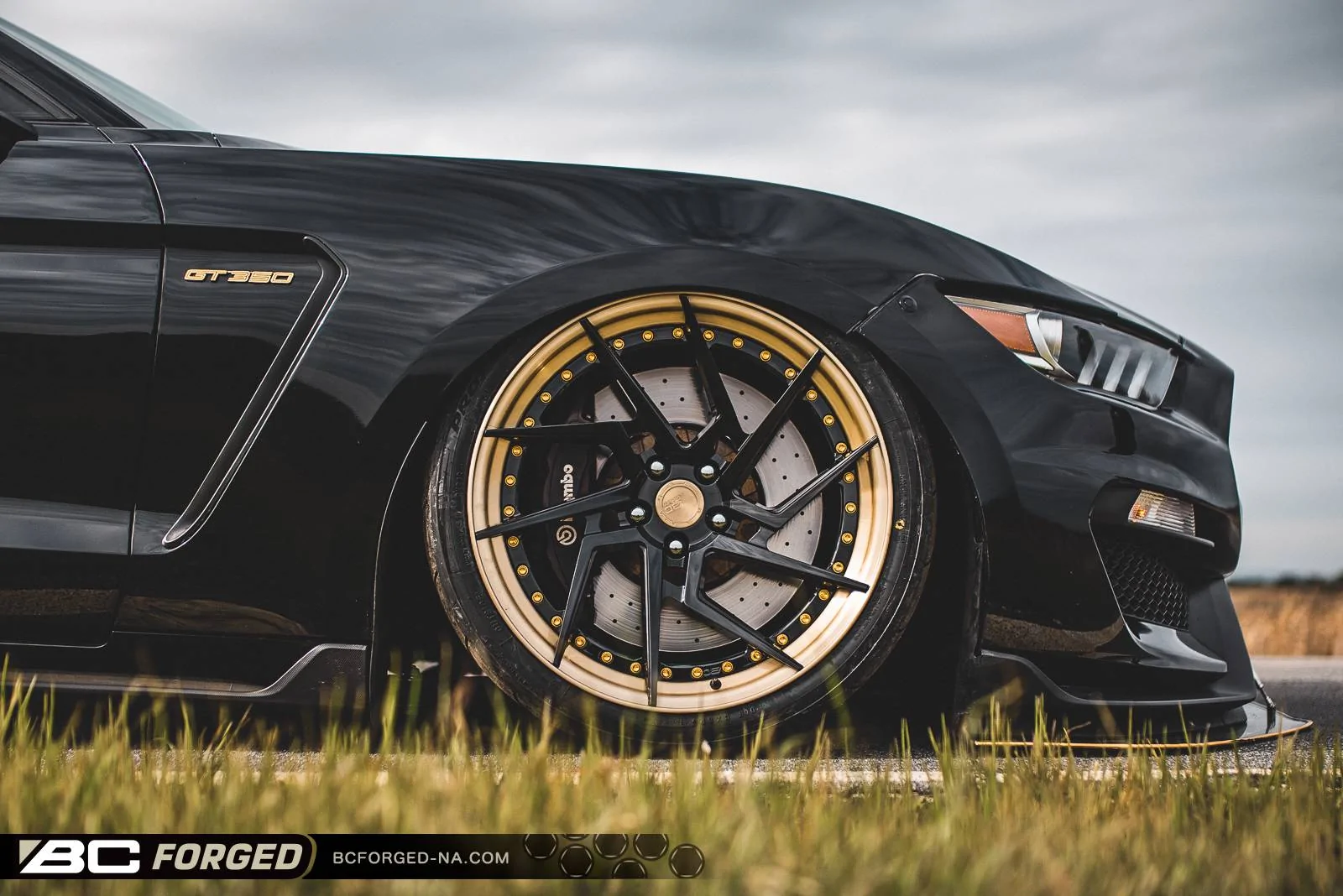xaviers-ford-mustang-gt350-20-hca218s-00009.jpeg