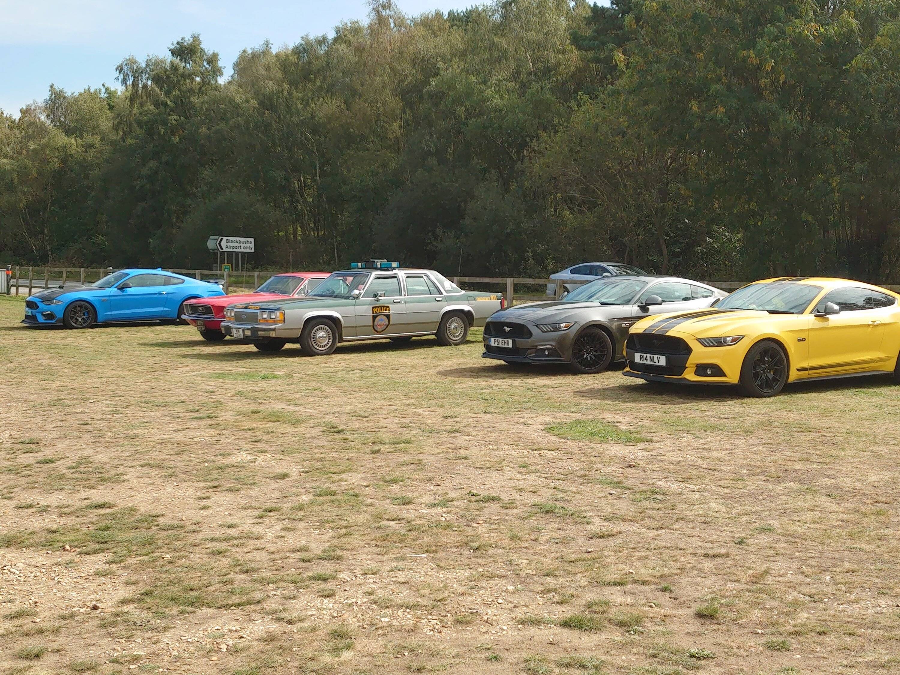 DSC_3597.JPG