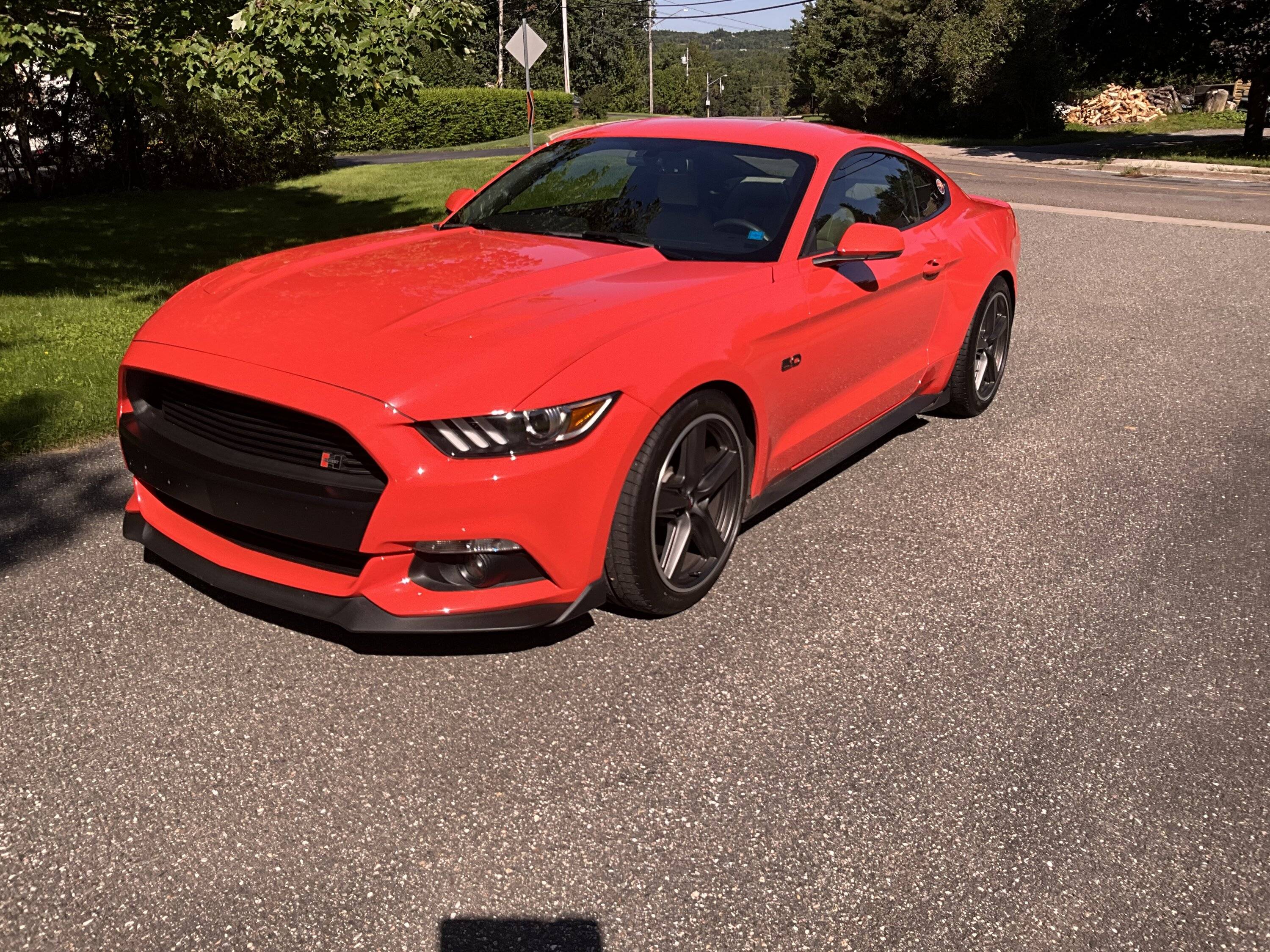 IMG_0513.jpeg