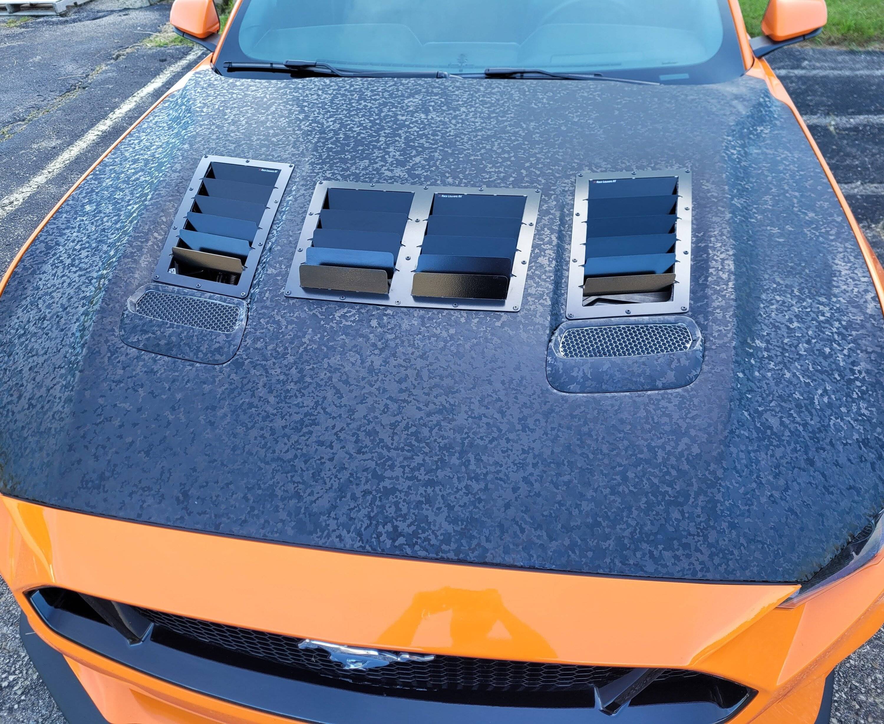 1000045185.jpg