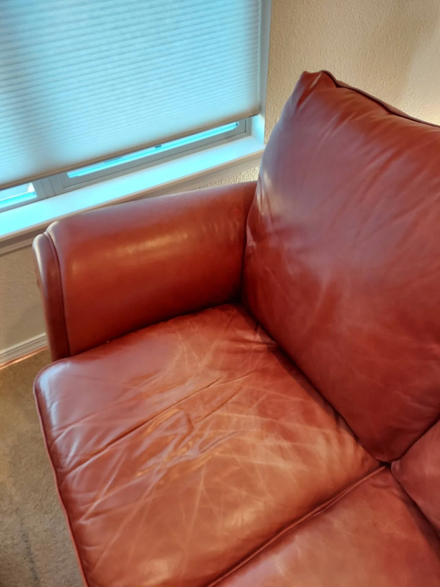 couch 1.jpg