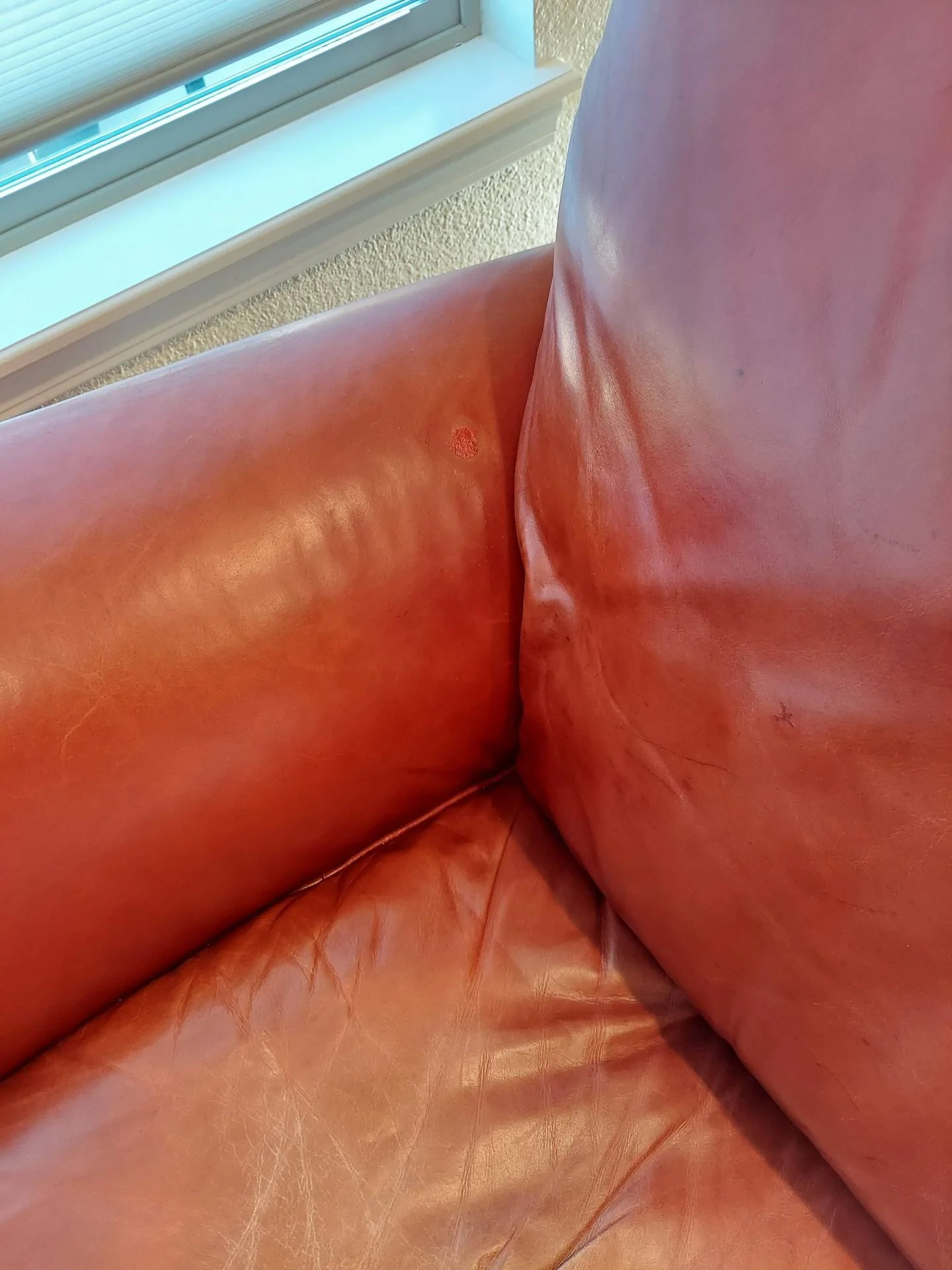 couch 2.jpg