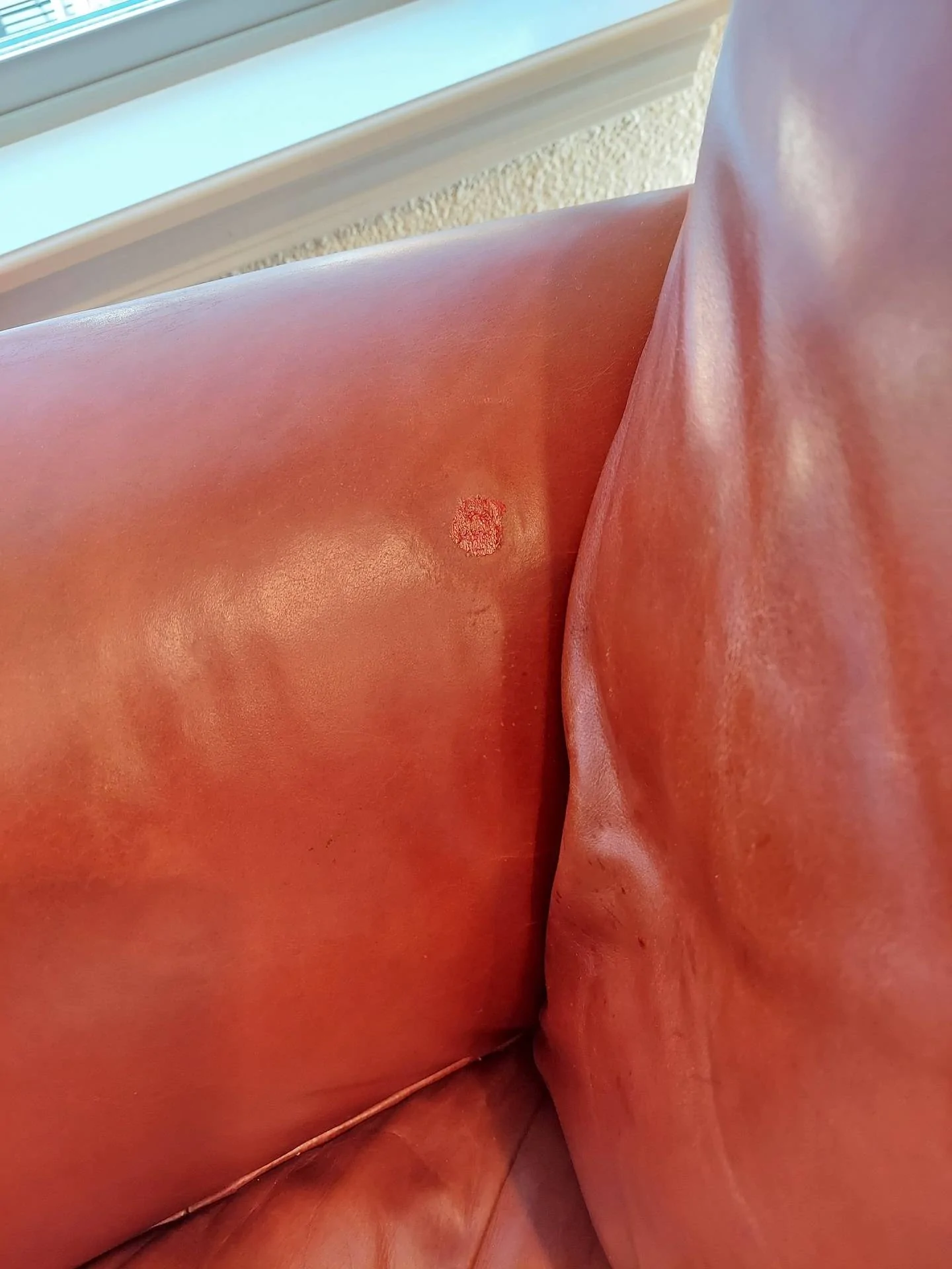 couch 3.jpg