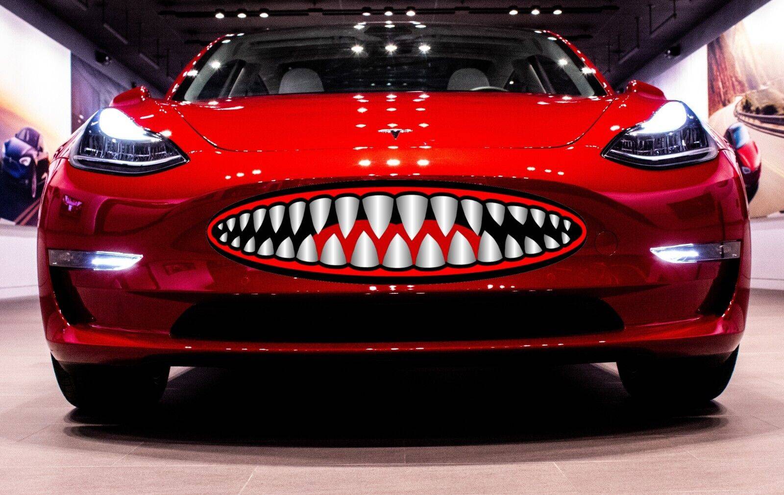 Shark.jpg