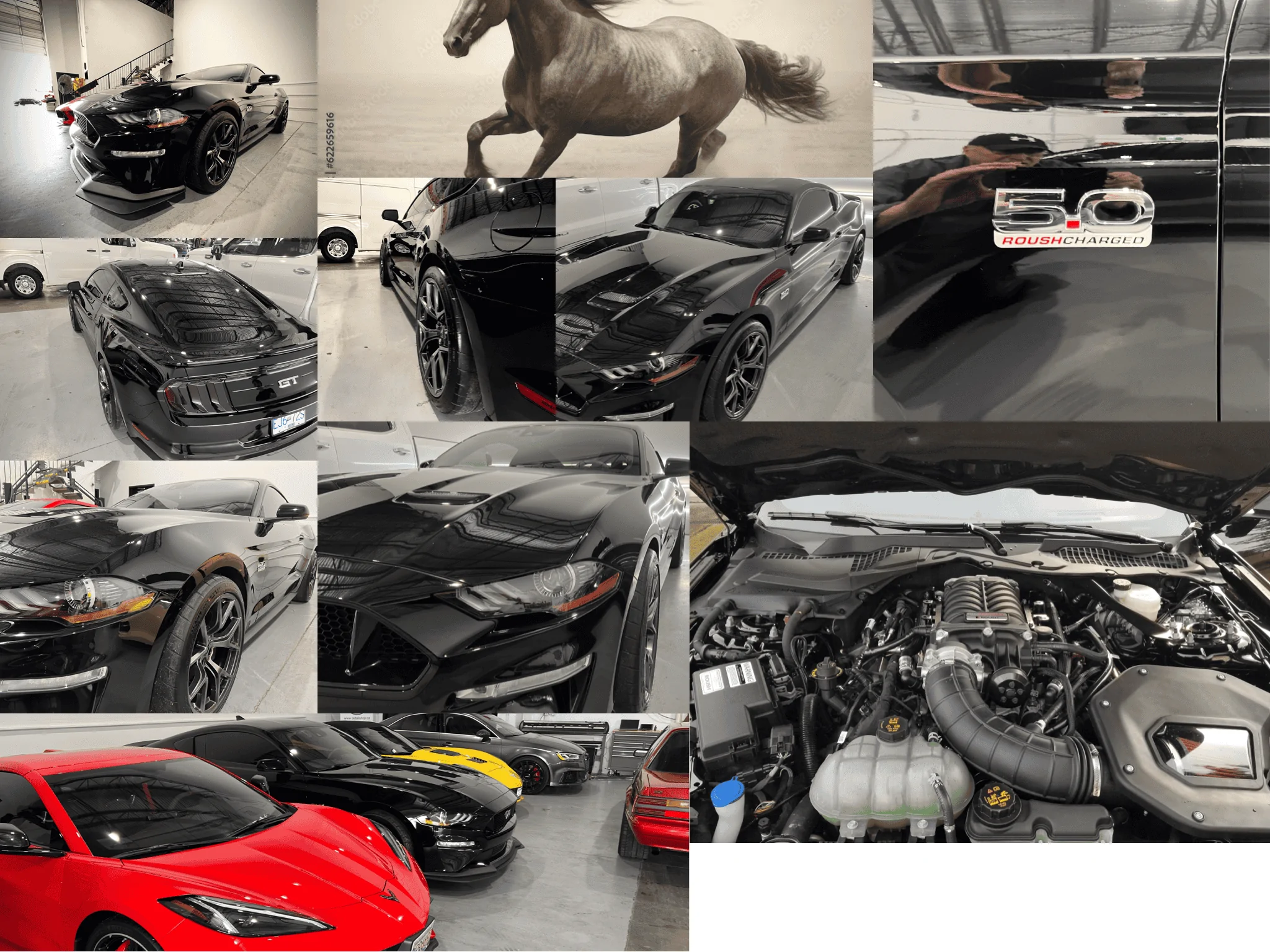 IMG_0055.webp