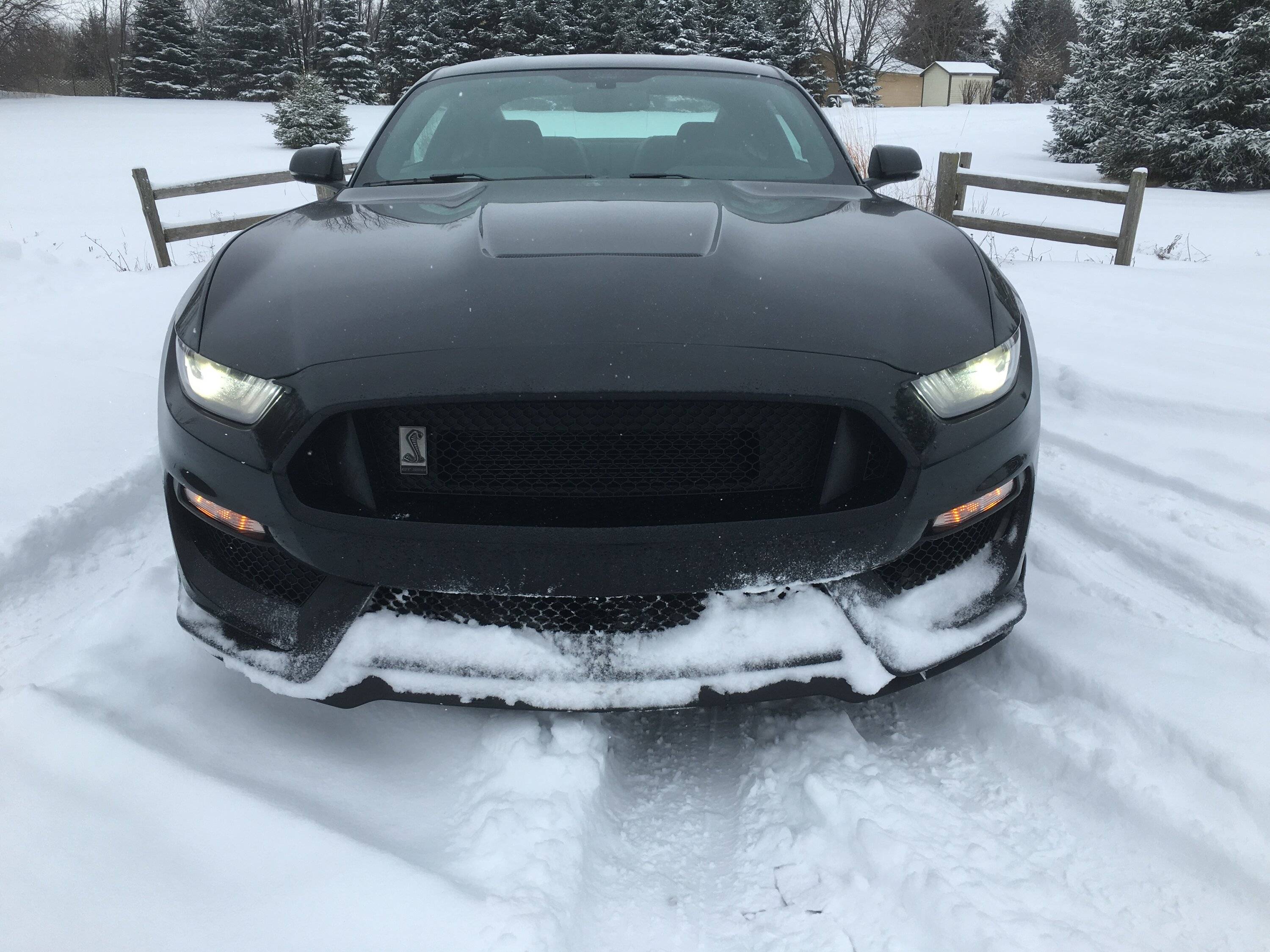 GT350snsp4.JPG