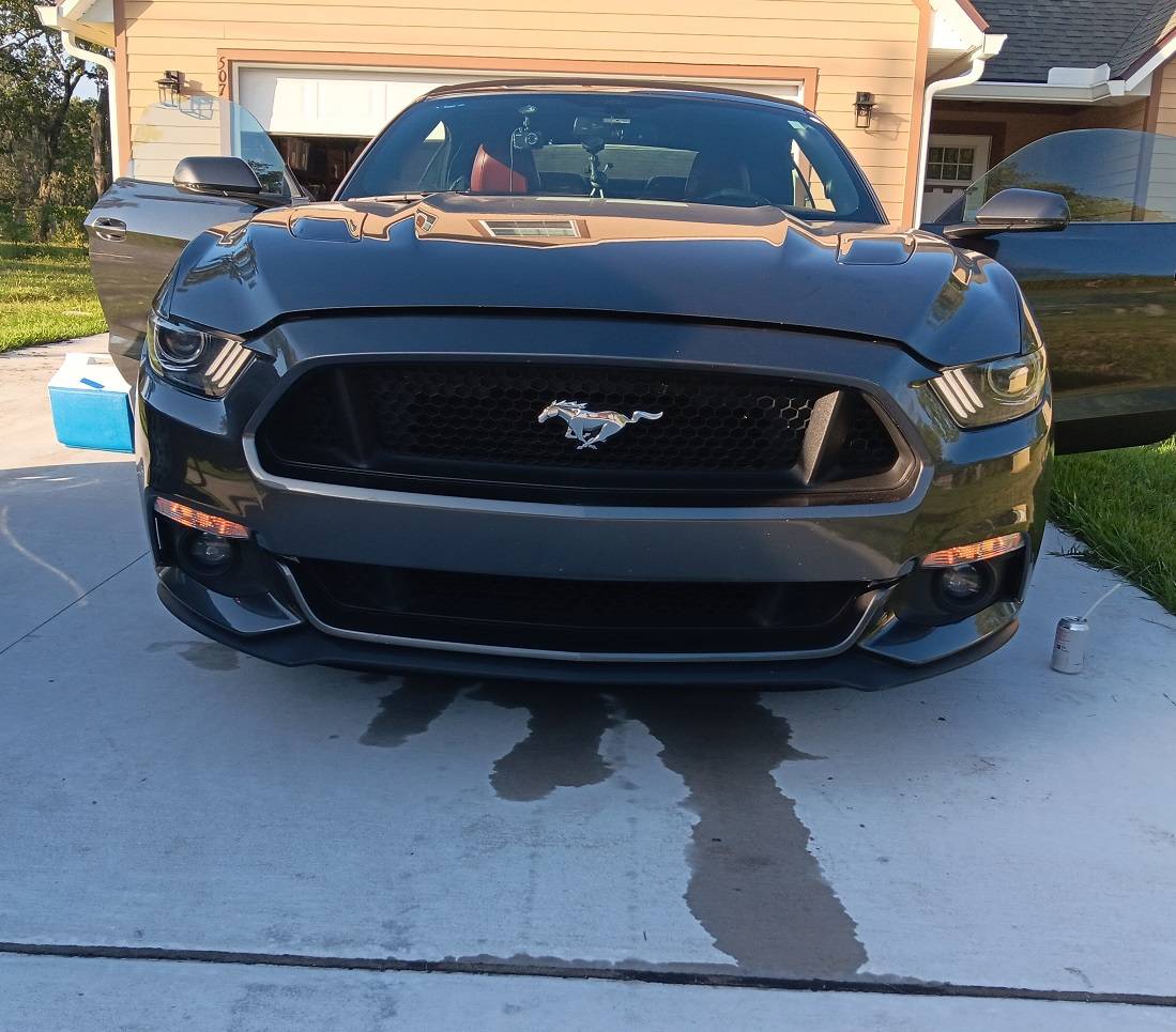 Mustang_20231001_10_waterpump..jpg