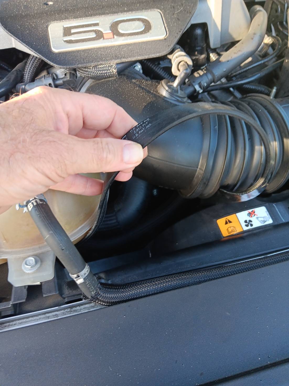 Mustang_20231001_11_waterpump..jpg