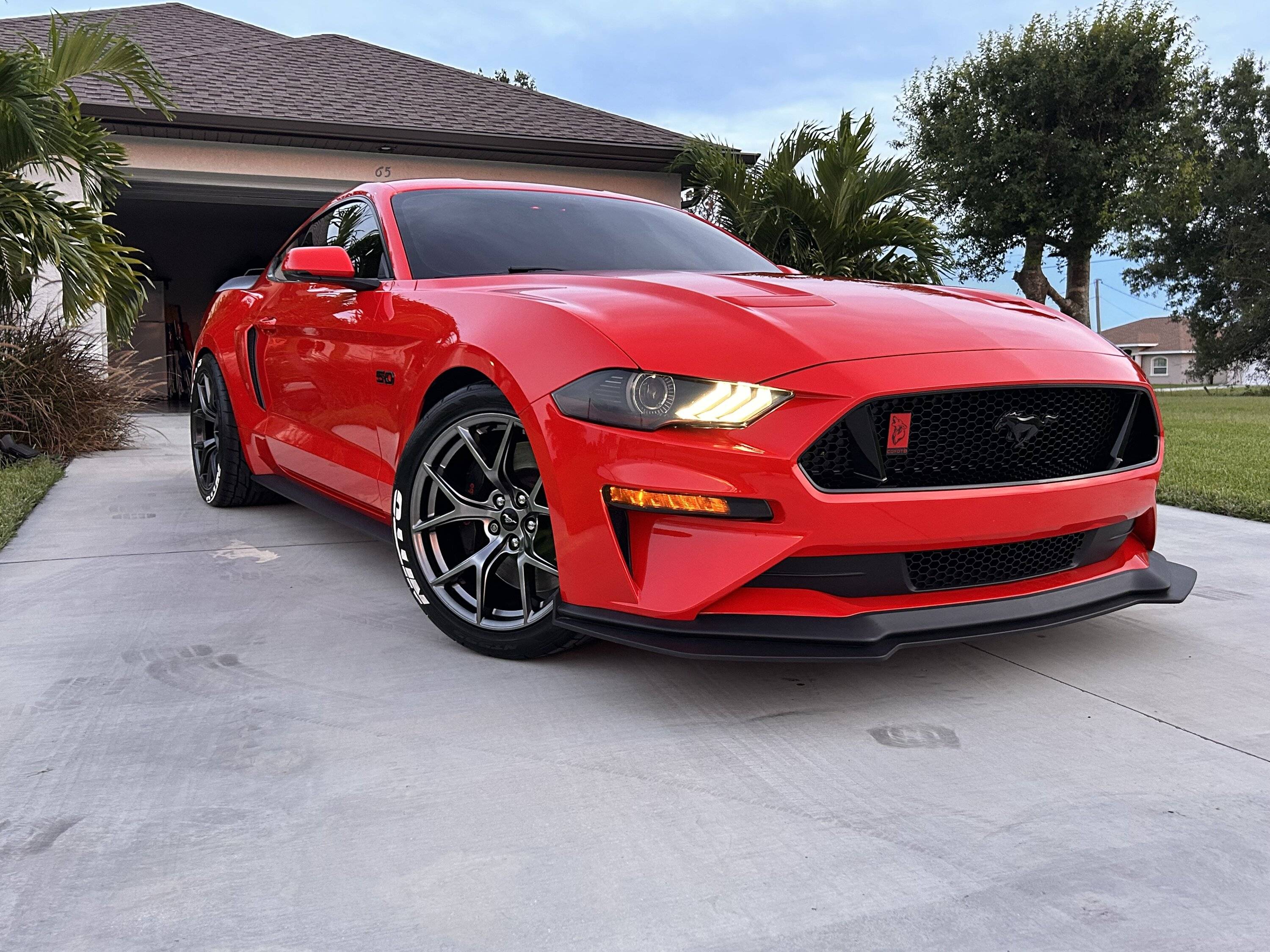 IMG_8217.jpeg