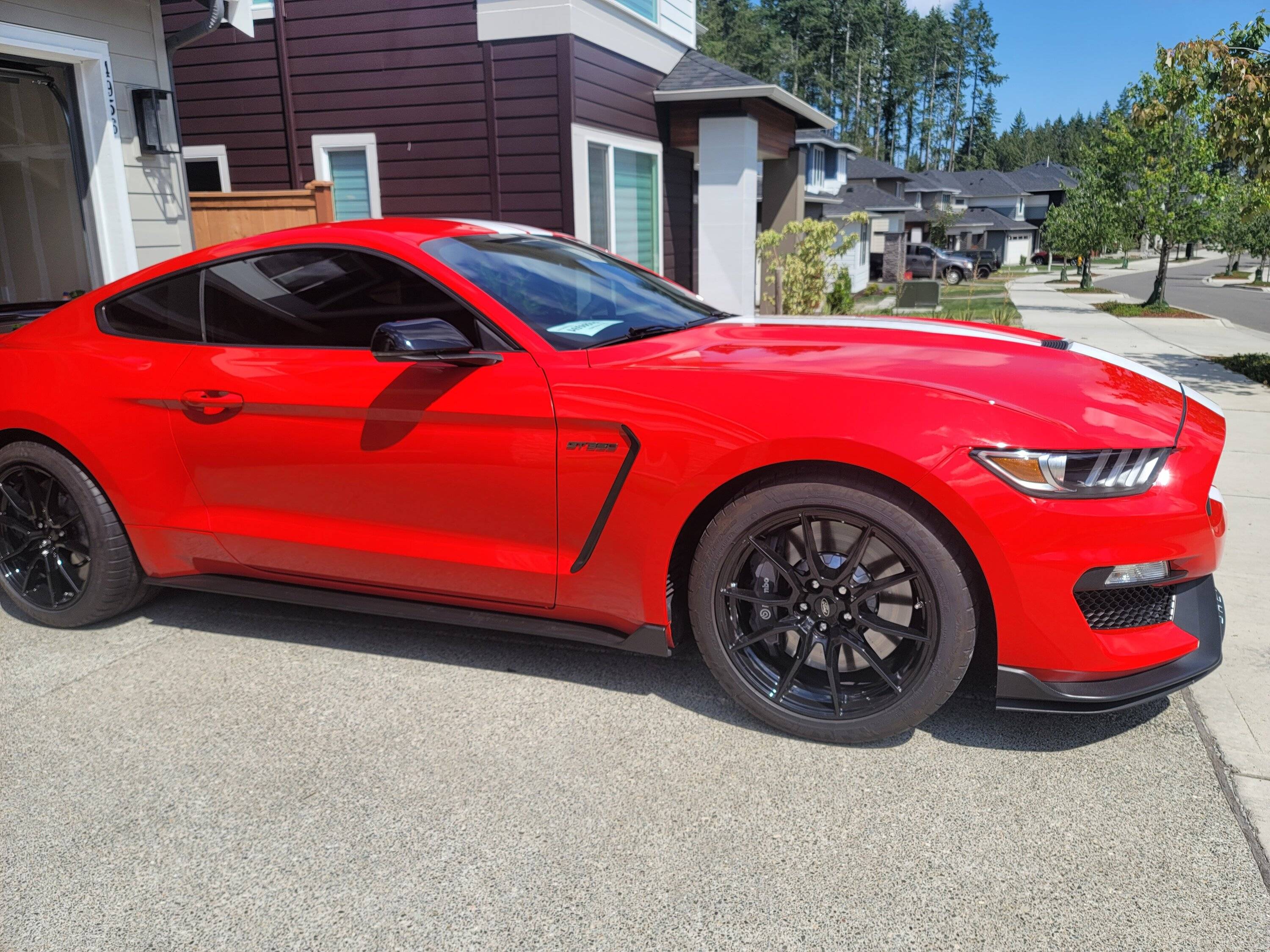 gt350.jpg