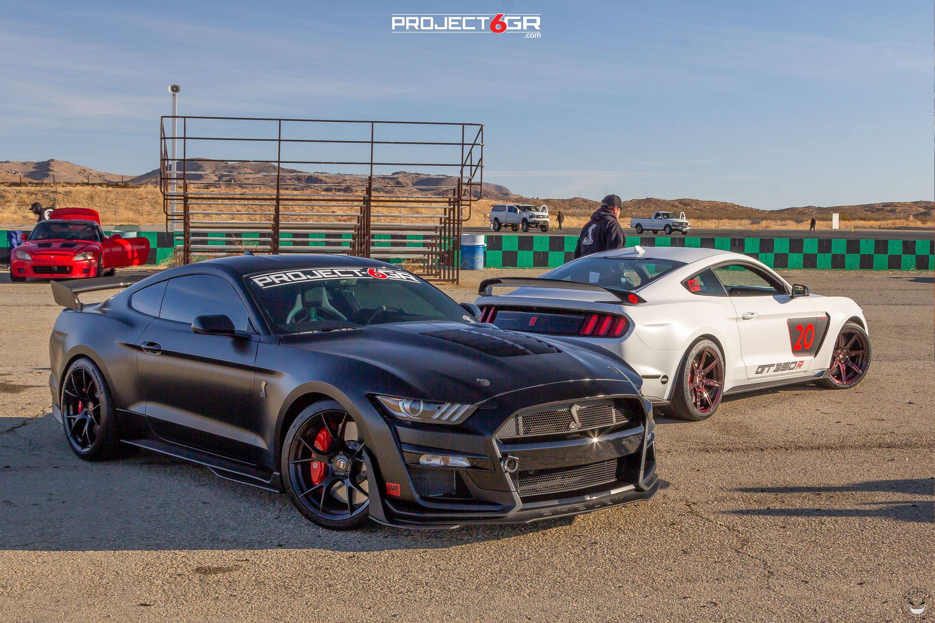 project-6gr-wheels-track-event-willow-race-gt500-gt350-shelby-2021-15.jpg