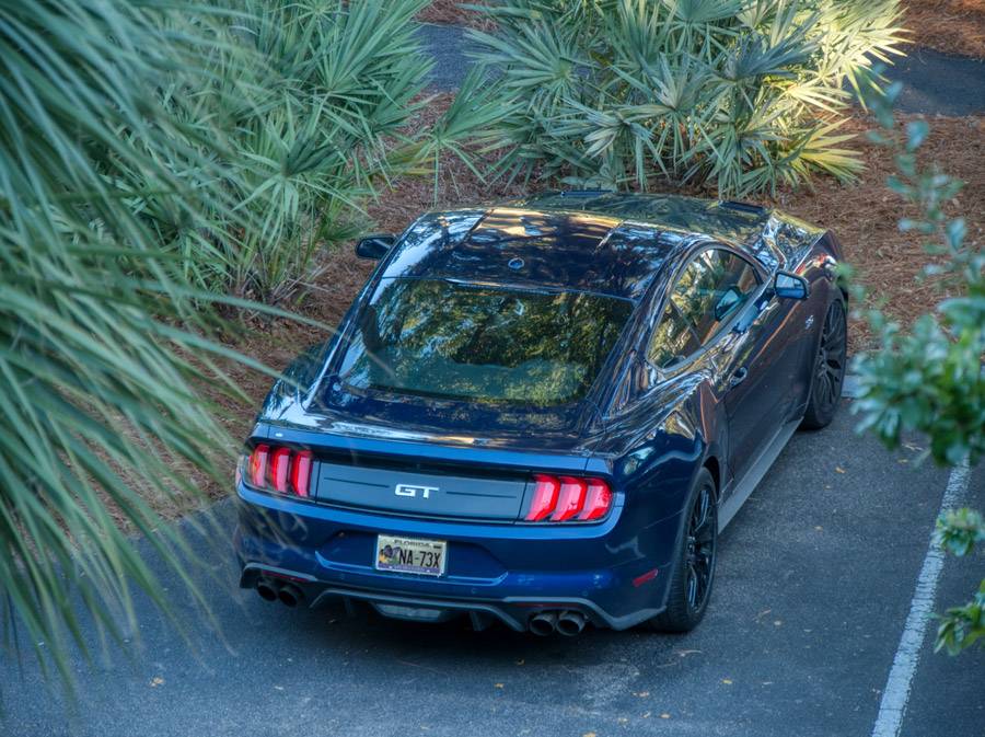 mustang_1310716_na73x.jpg