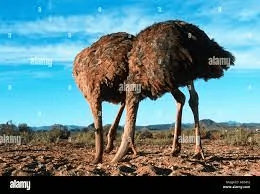 1696897124102.webp