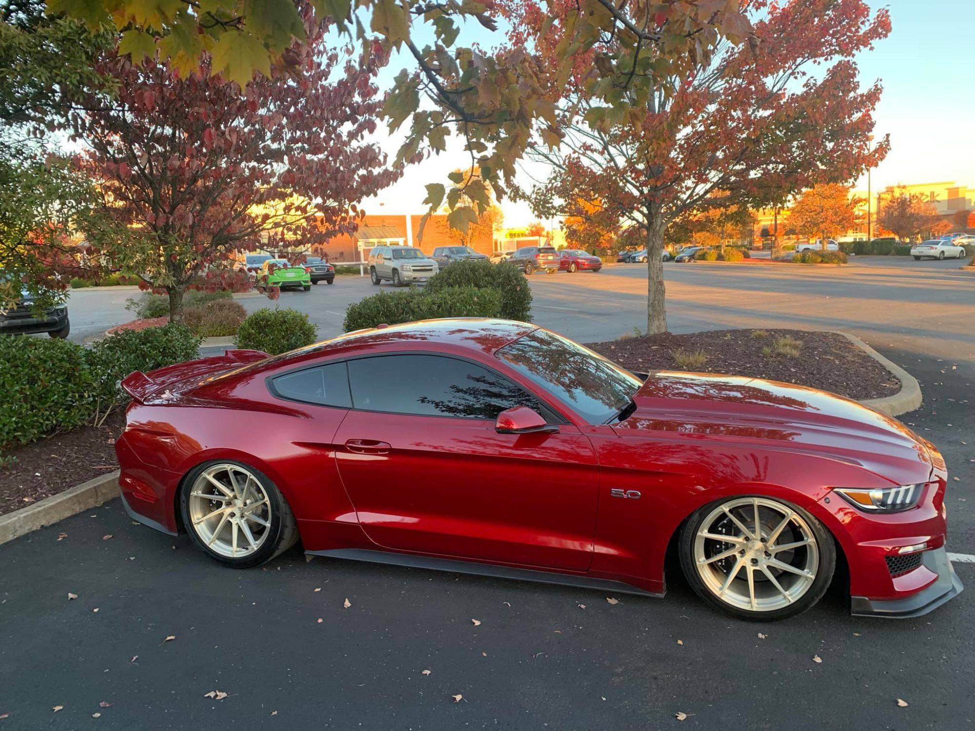 s550-mustang-gt-with-royal-gold-bc-forged-eh181-wheels-1.jpeg