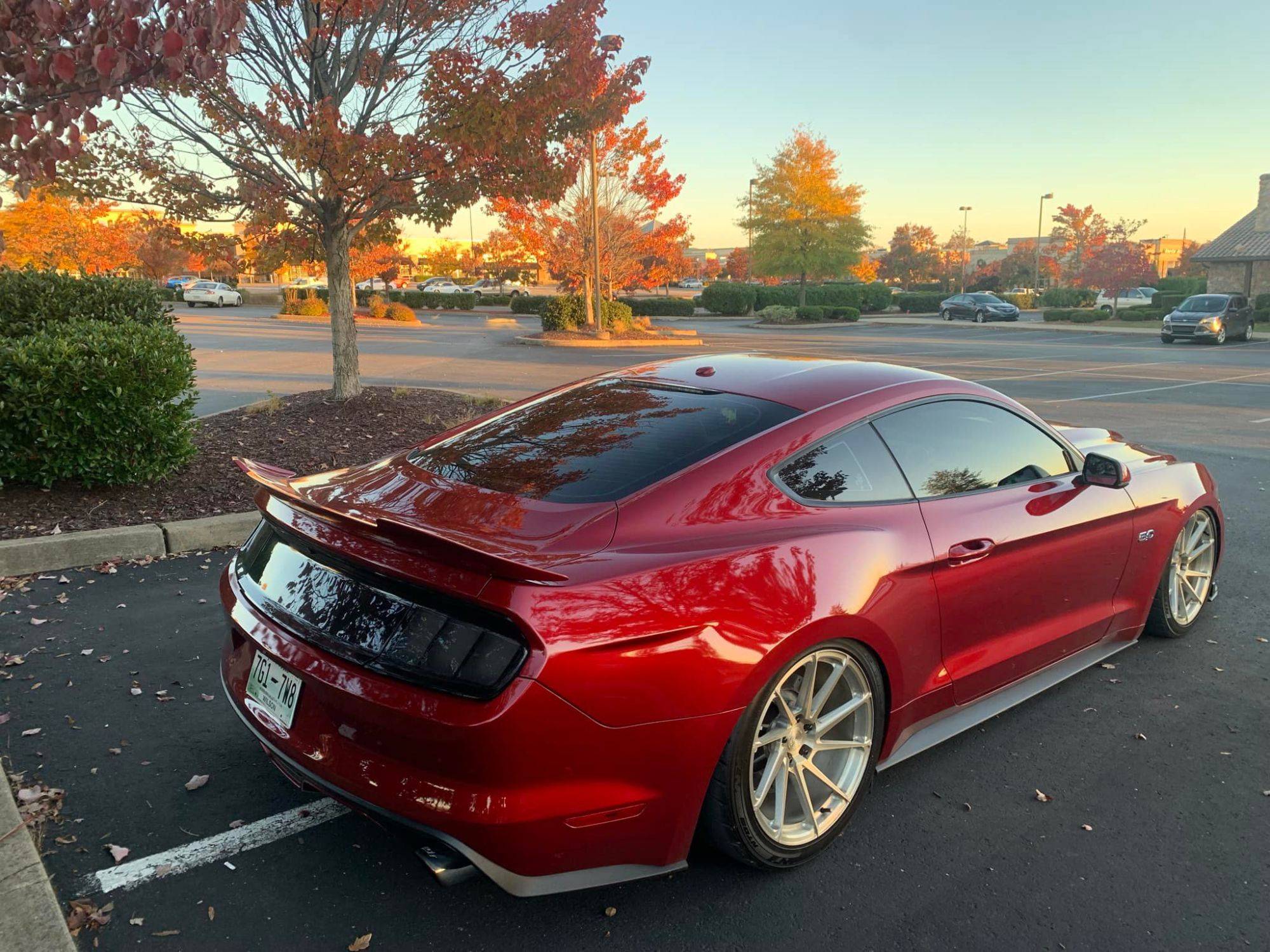 s550-mustang-gt-with-royal-gold-bc-forged-eh181-wheels-2.jpeg