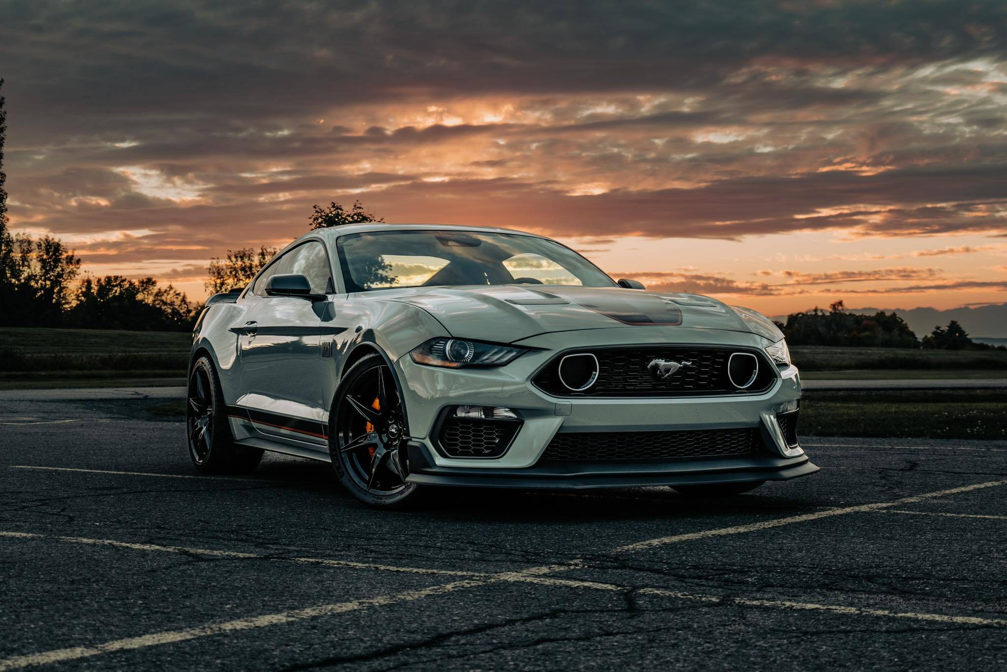 2023 Mach 1.jpg