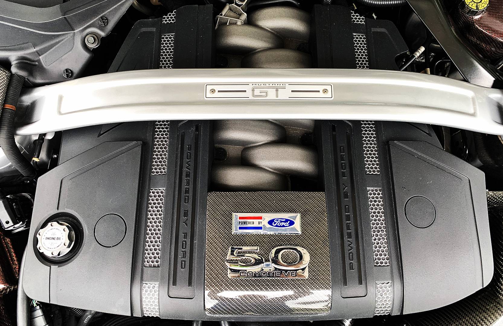 Mustang (53).jpg