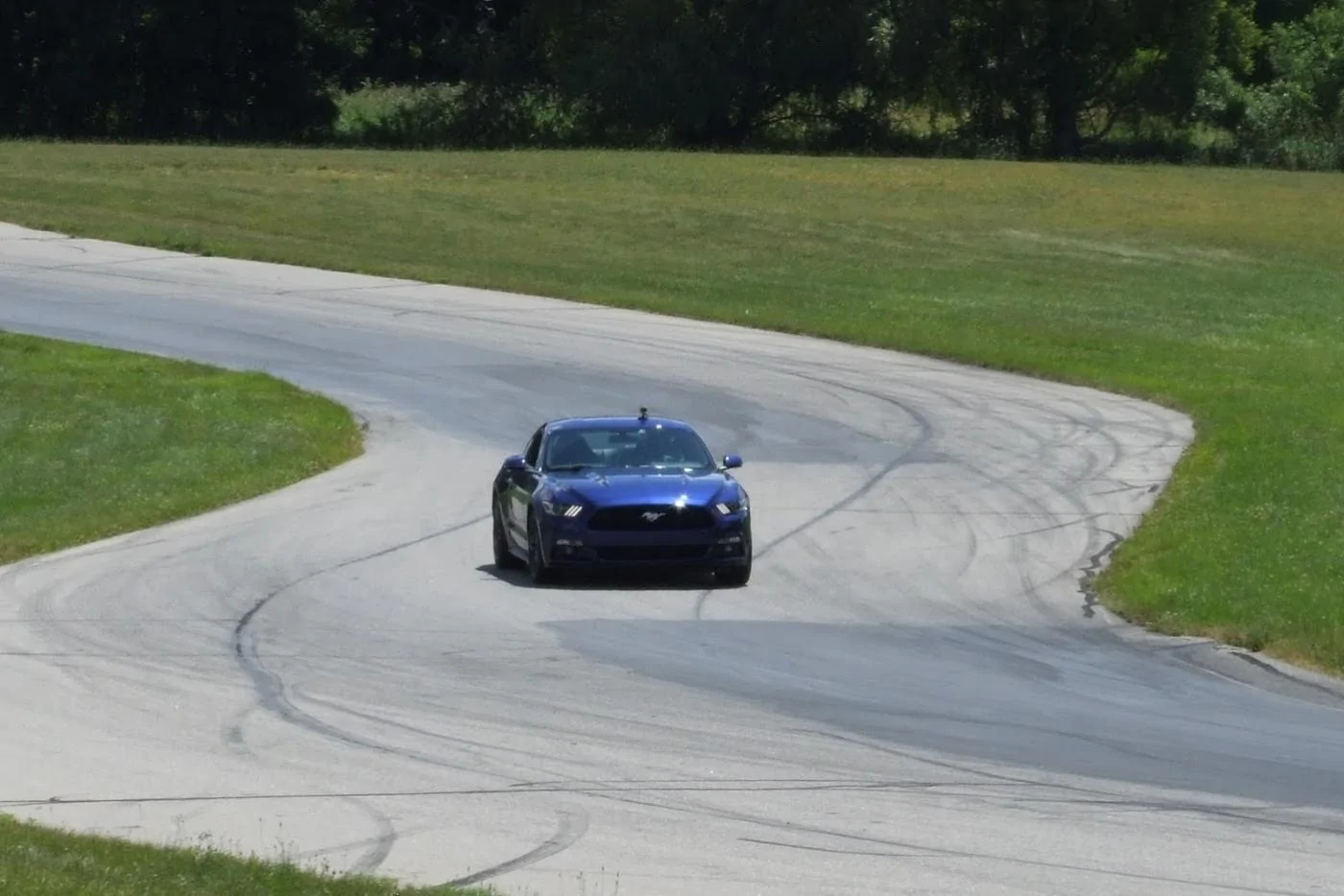 mustang 2.webp