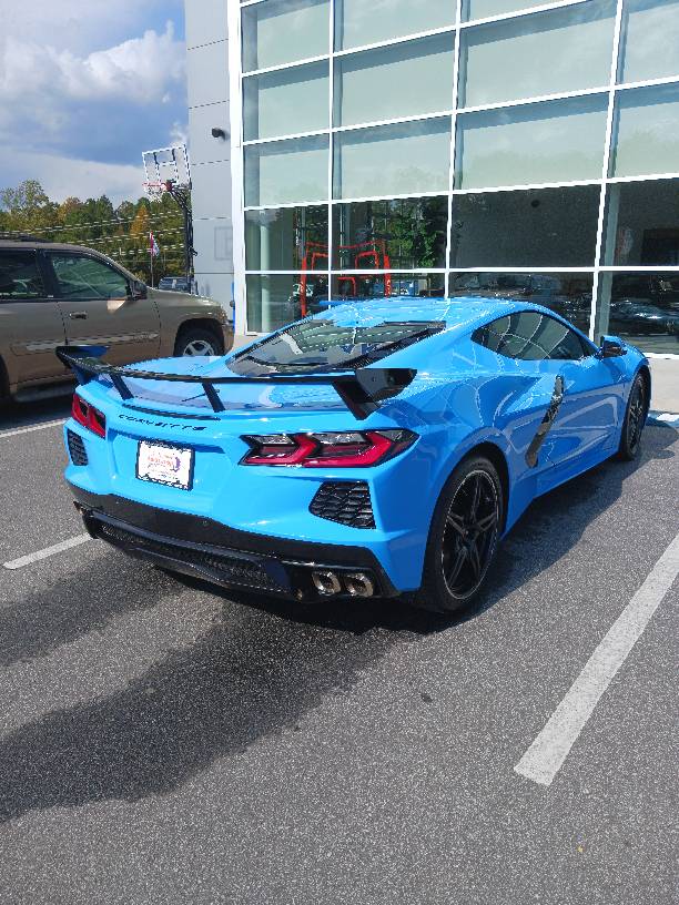 bluevette.jpg
