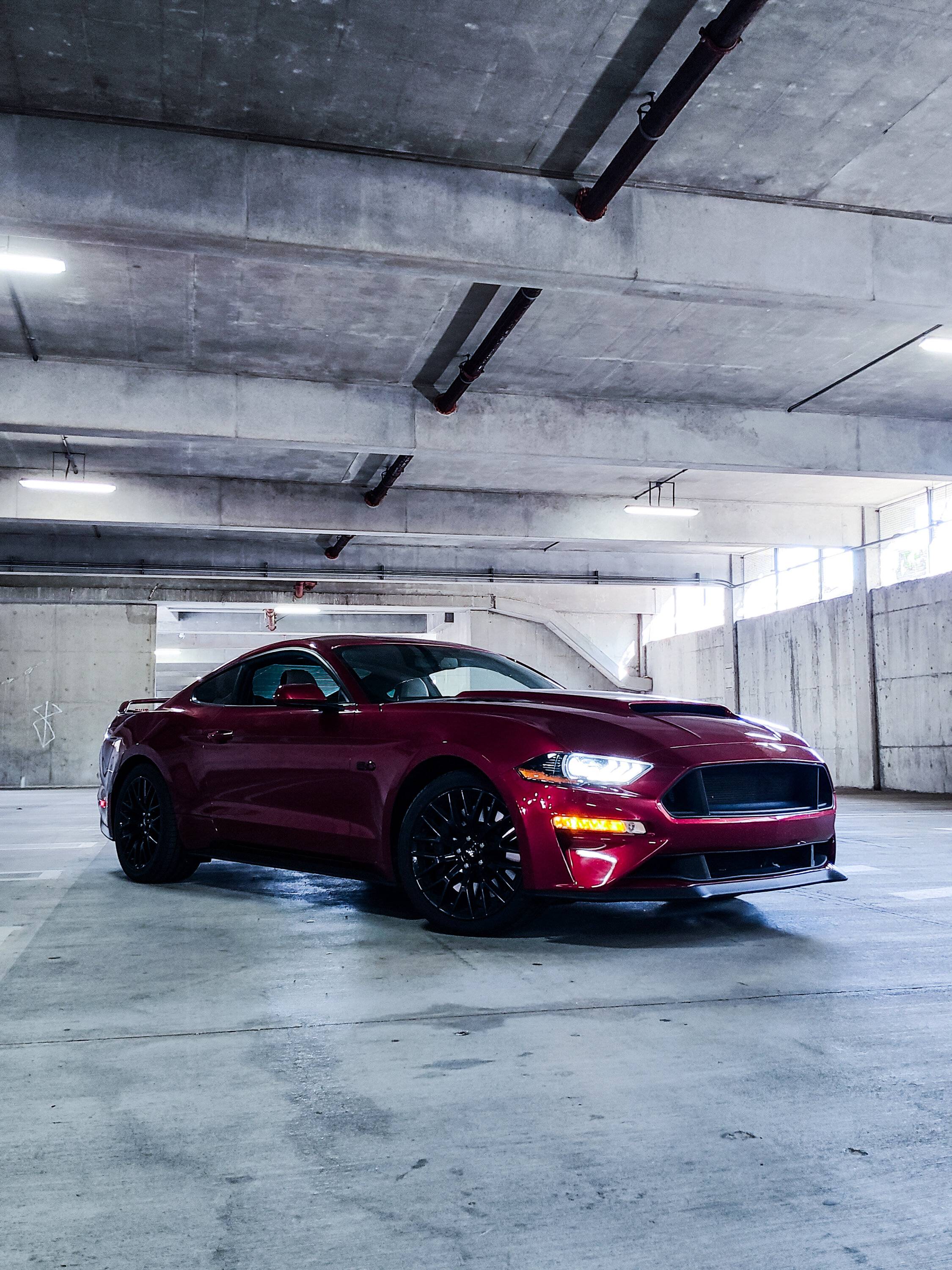 IMG_20231007_145241026_HDR (1).jpg
