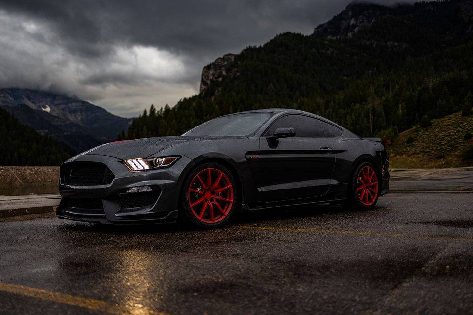 img_4857-edit-jpg.jpg