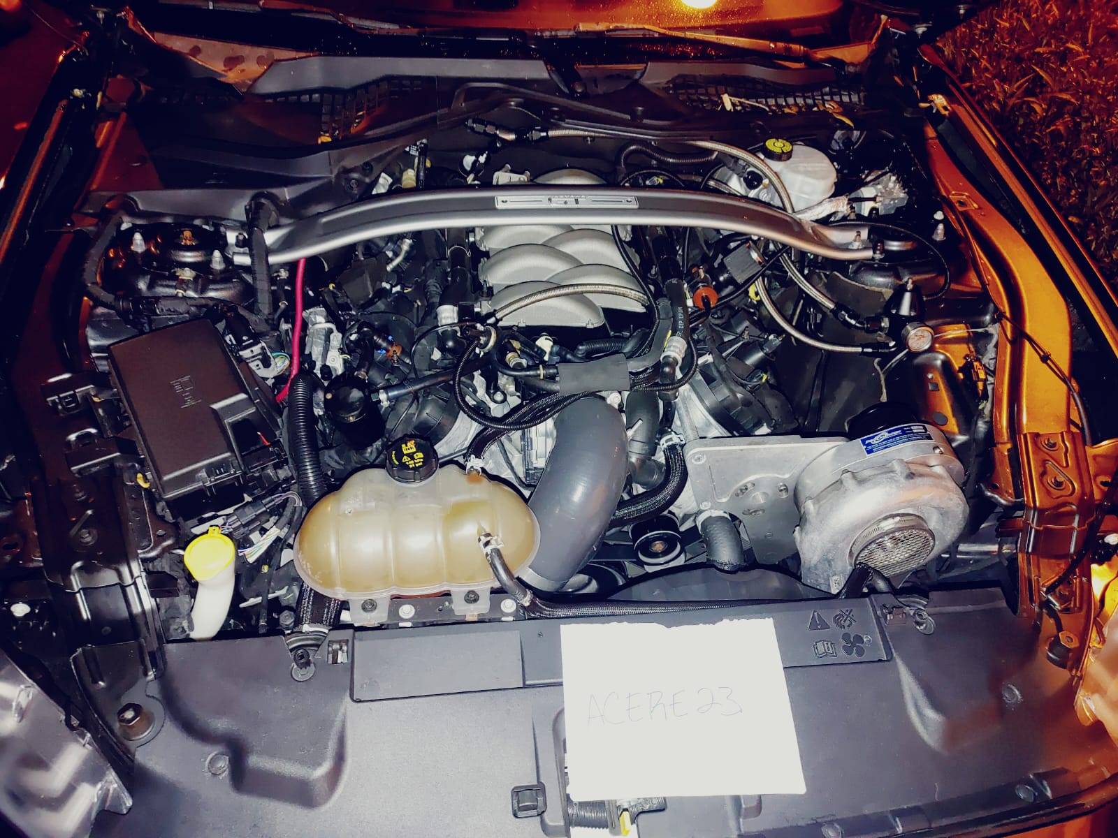 P1SC1.jpg