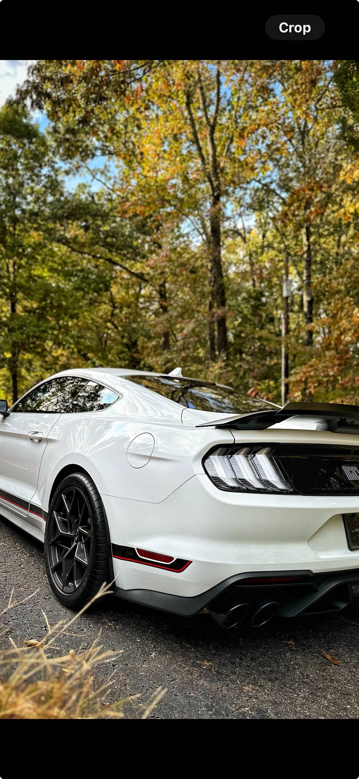IMG_2970.jpeg
