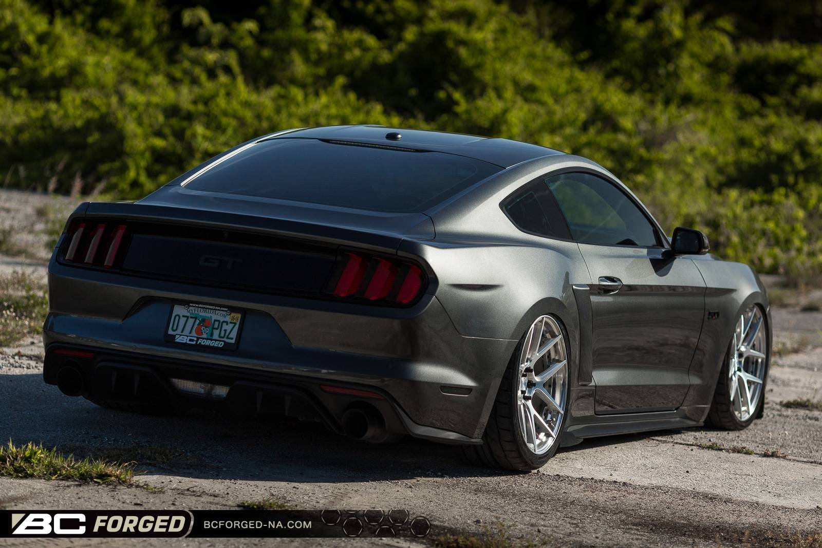 scotts-2015-mustang-gtpp-20-hcs02s-00002.jpeg
